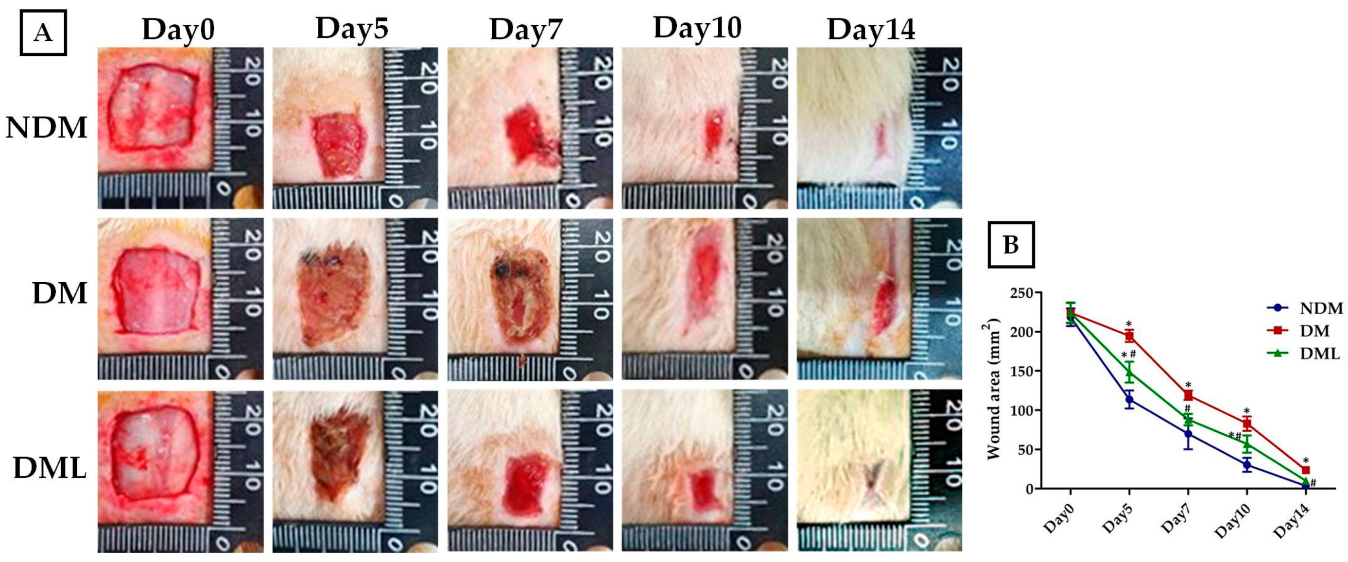 Biomedicines 09 00761 g002