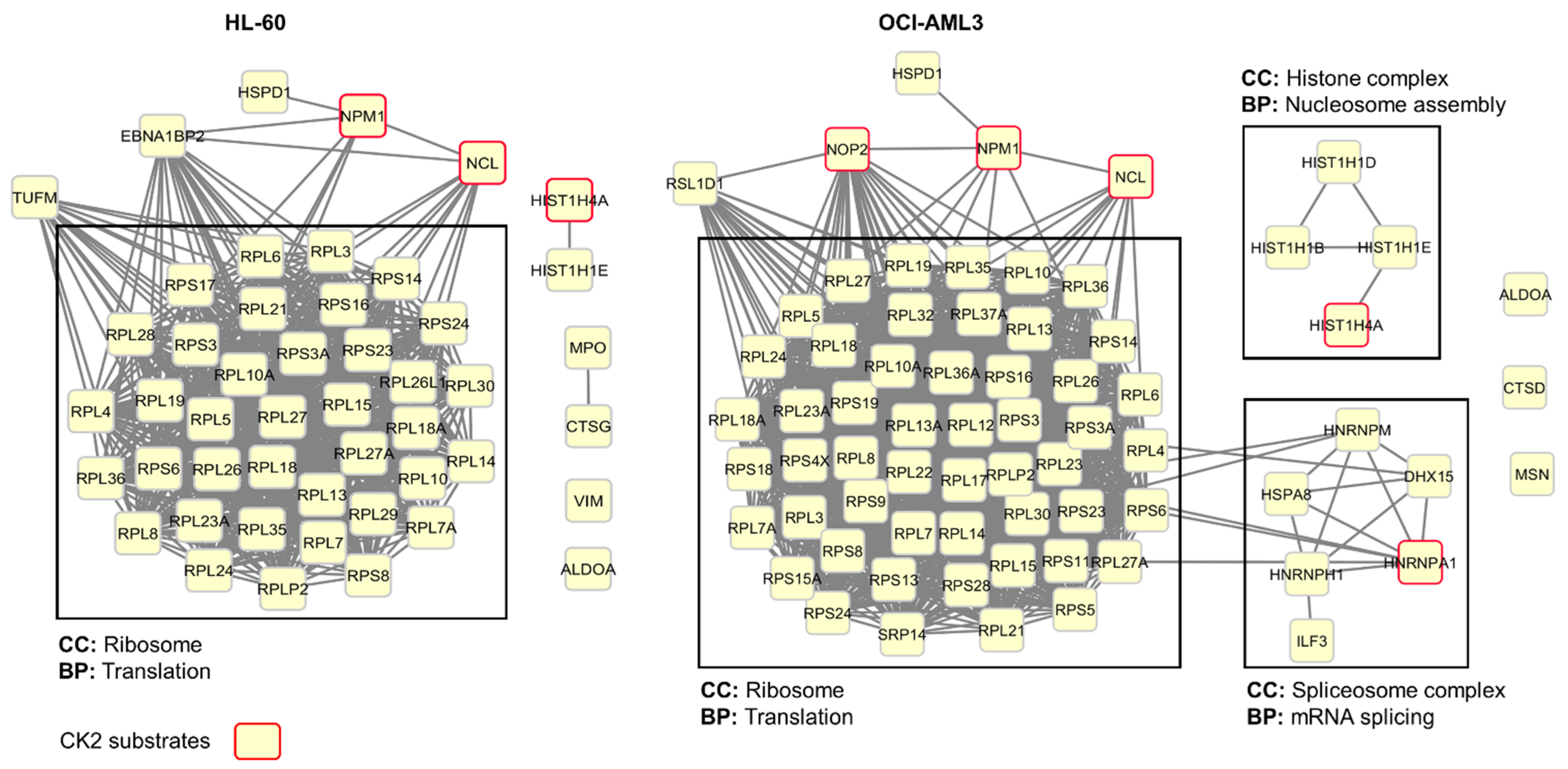 Biomedicines 09 00766 g003 Biomedicines 09 00766 g003