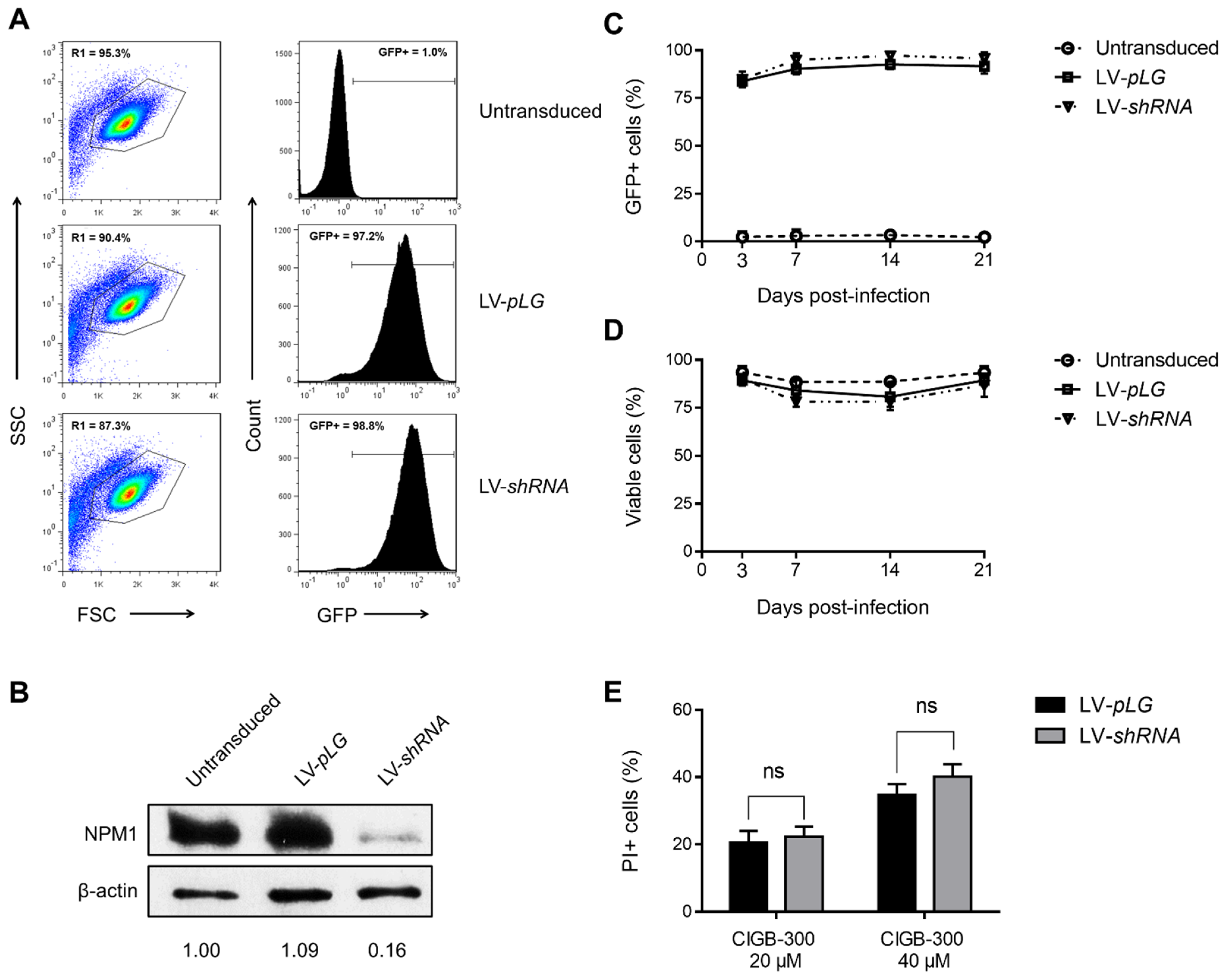 Biomedicines 09 00766 g004 Biomedicines 09 00766 g004