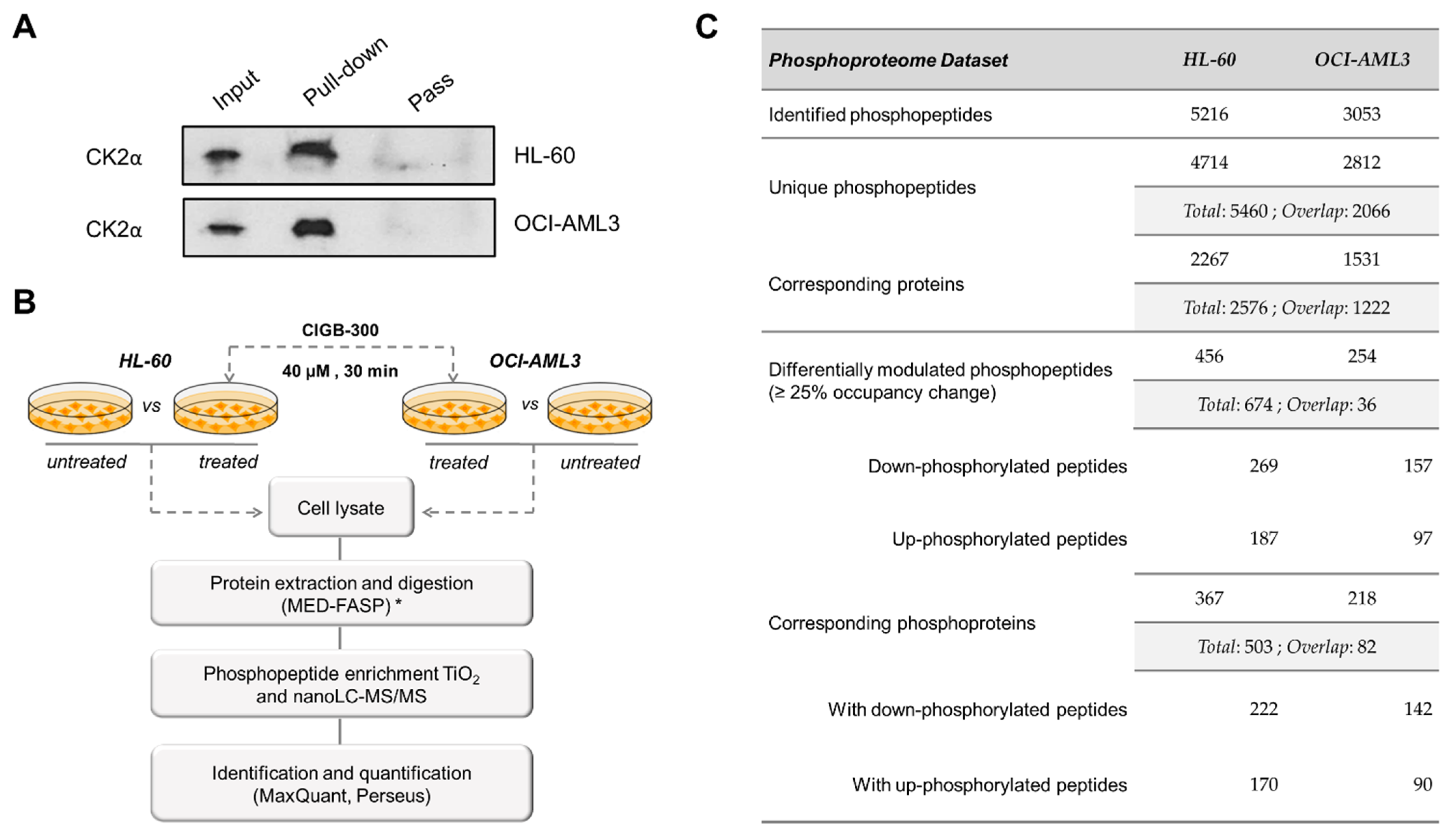 Biomedicines 09 00766 g005 Biomedicines 09 00766 g005