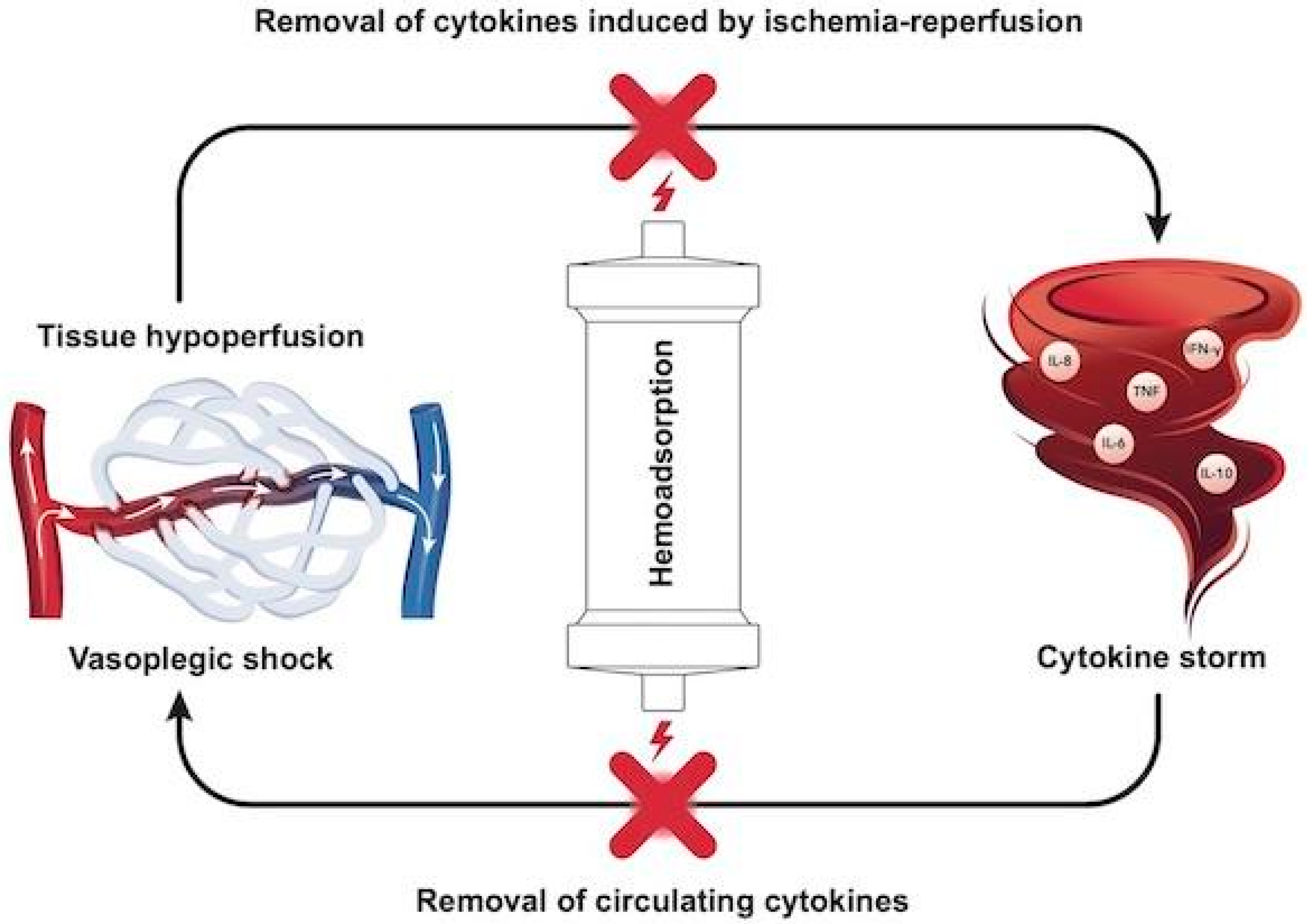 Biomedicines 09 00768 g001
