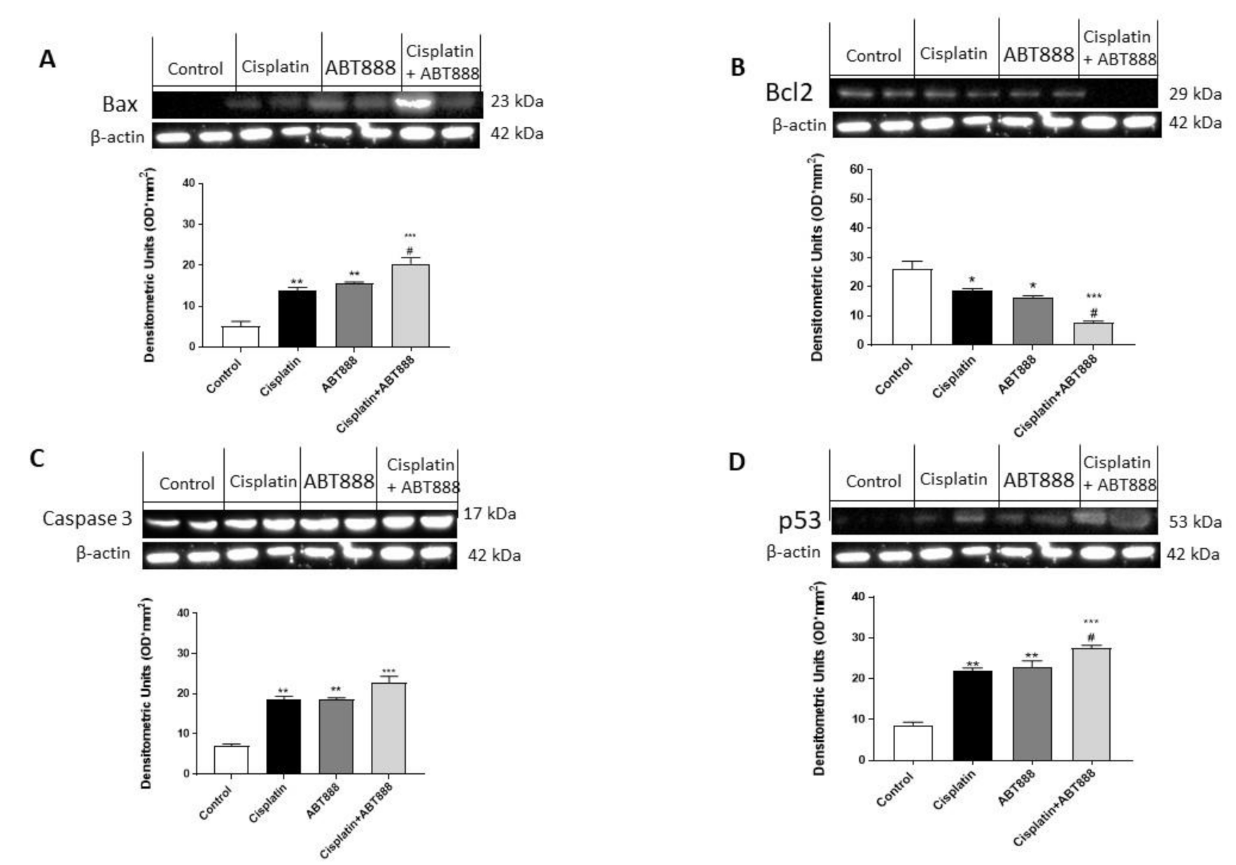 Biomedicines 09 00771 g005