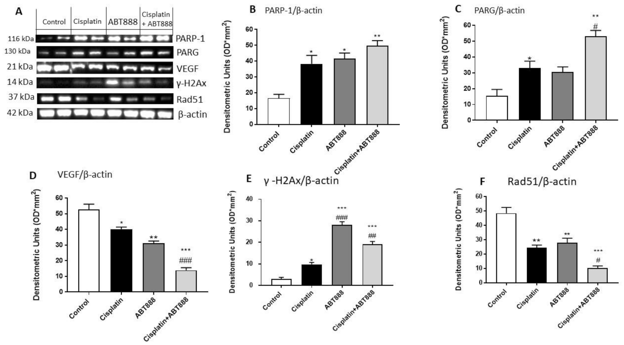 Biomedicines 09 00771 g006