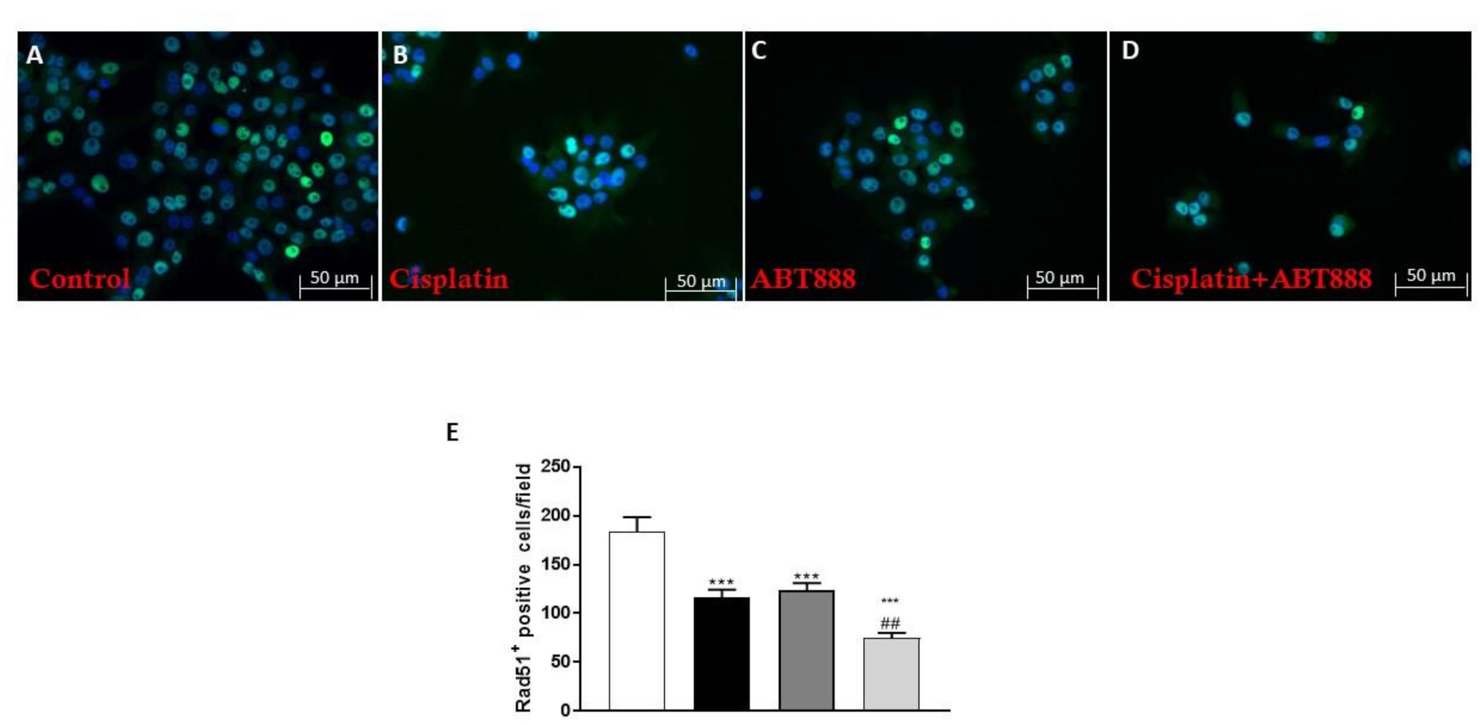 Biomedicines 09 00771 g007