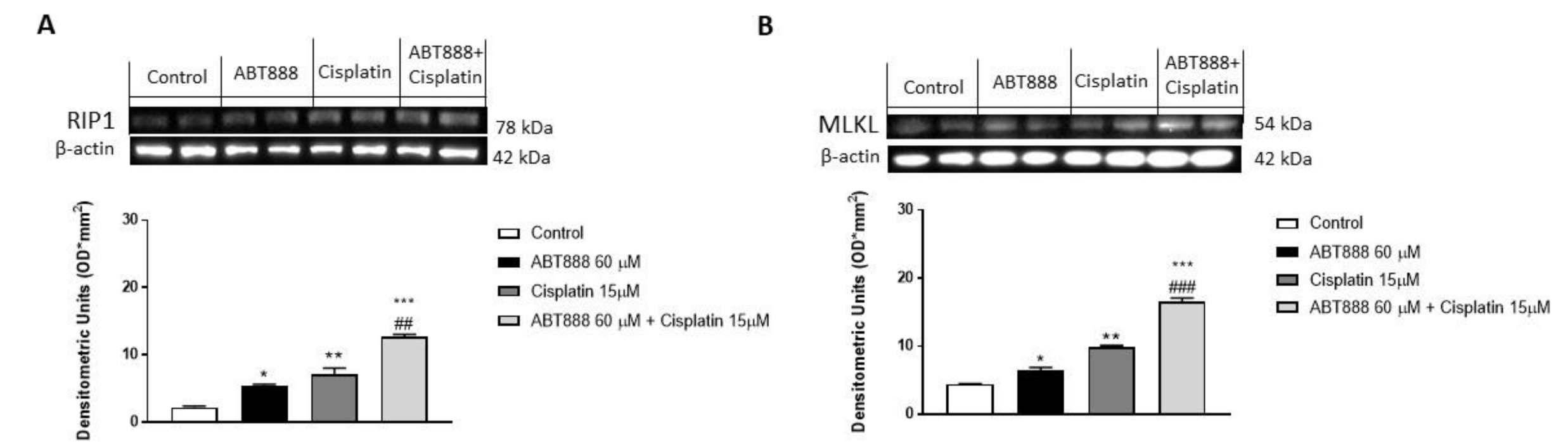 Biomedicines 09 00771 g009