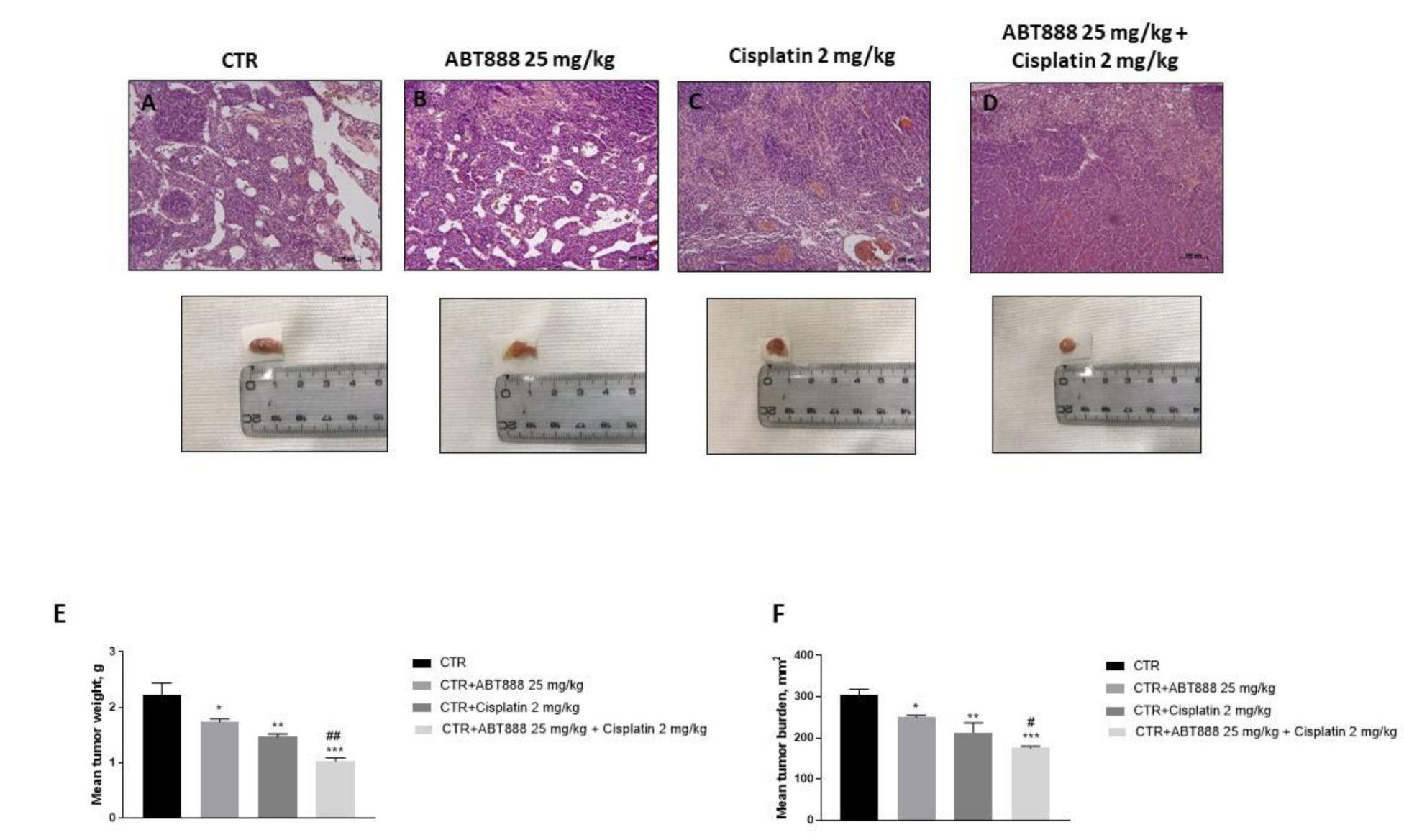 Biomedicines 09 00771 g010