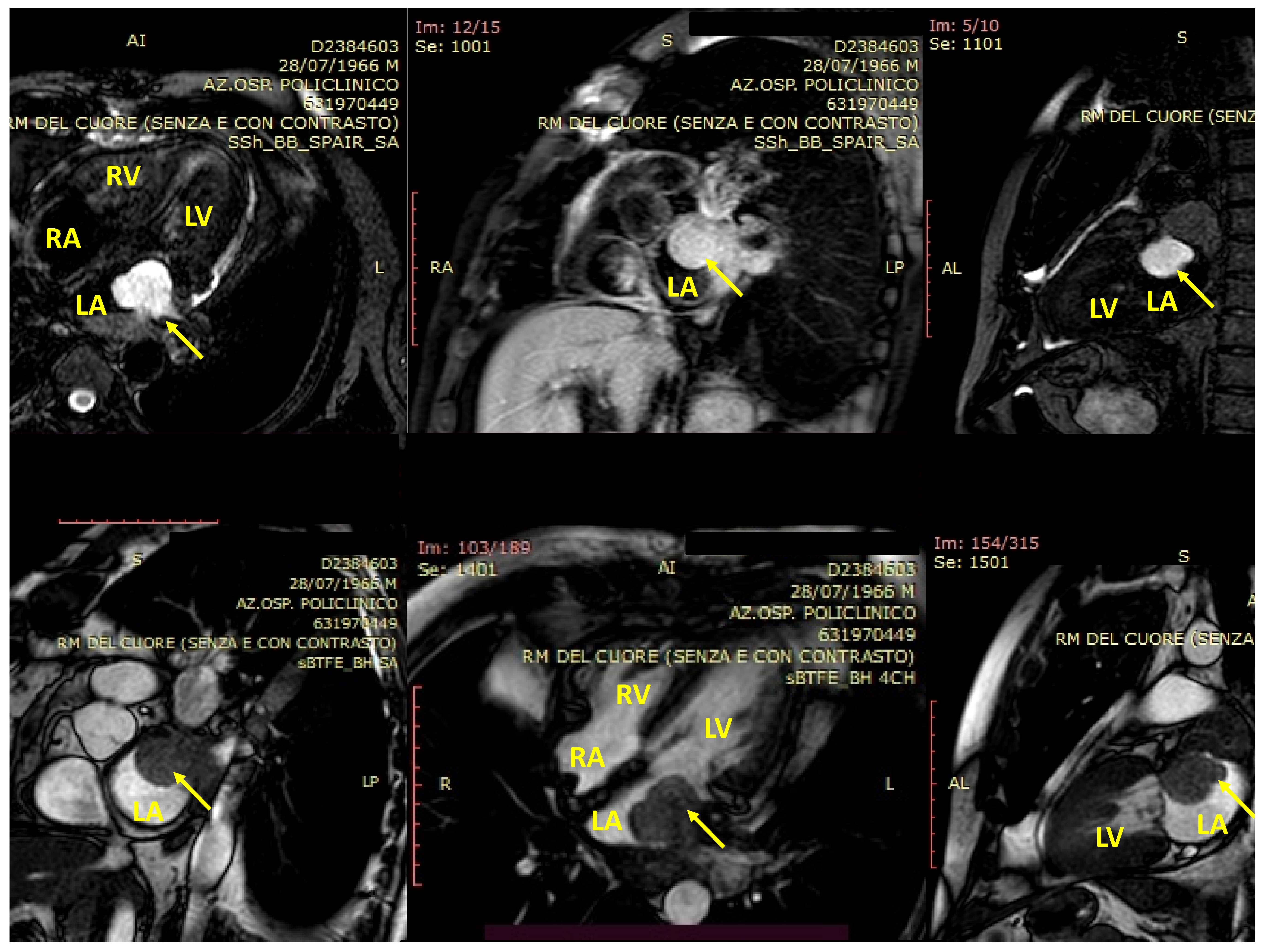 Biomedicines 09 00774 g002 Biomedicines 09 00774 g002