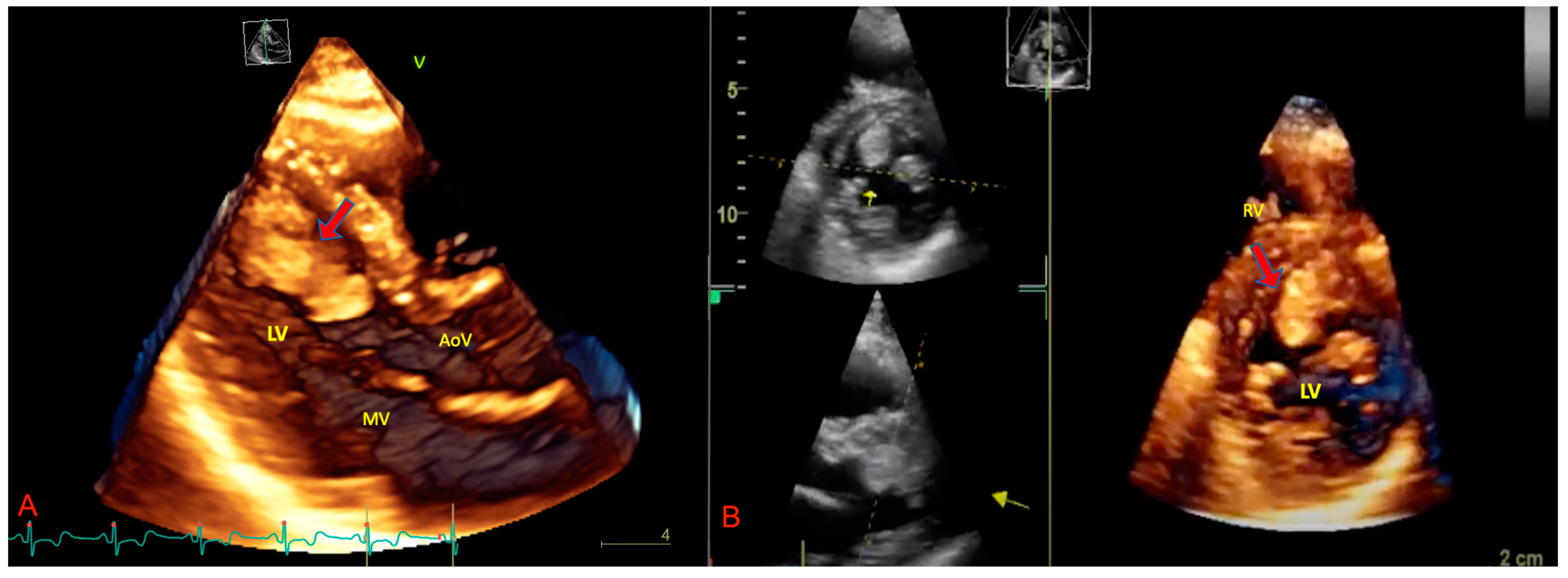 Biomedicines 09 00774 g003 Biomedicines 09 00774 g003