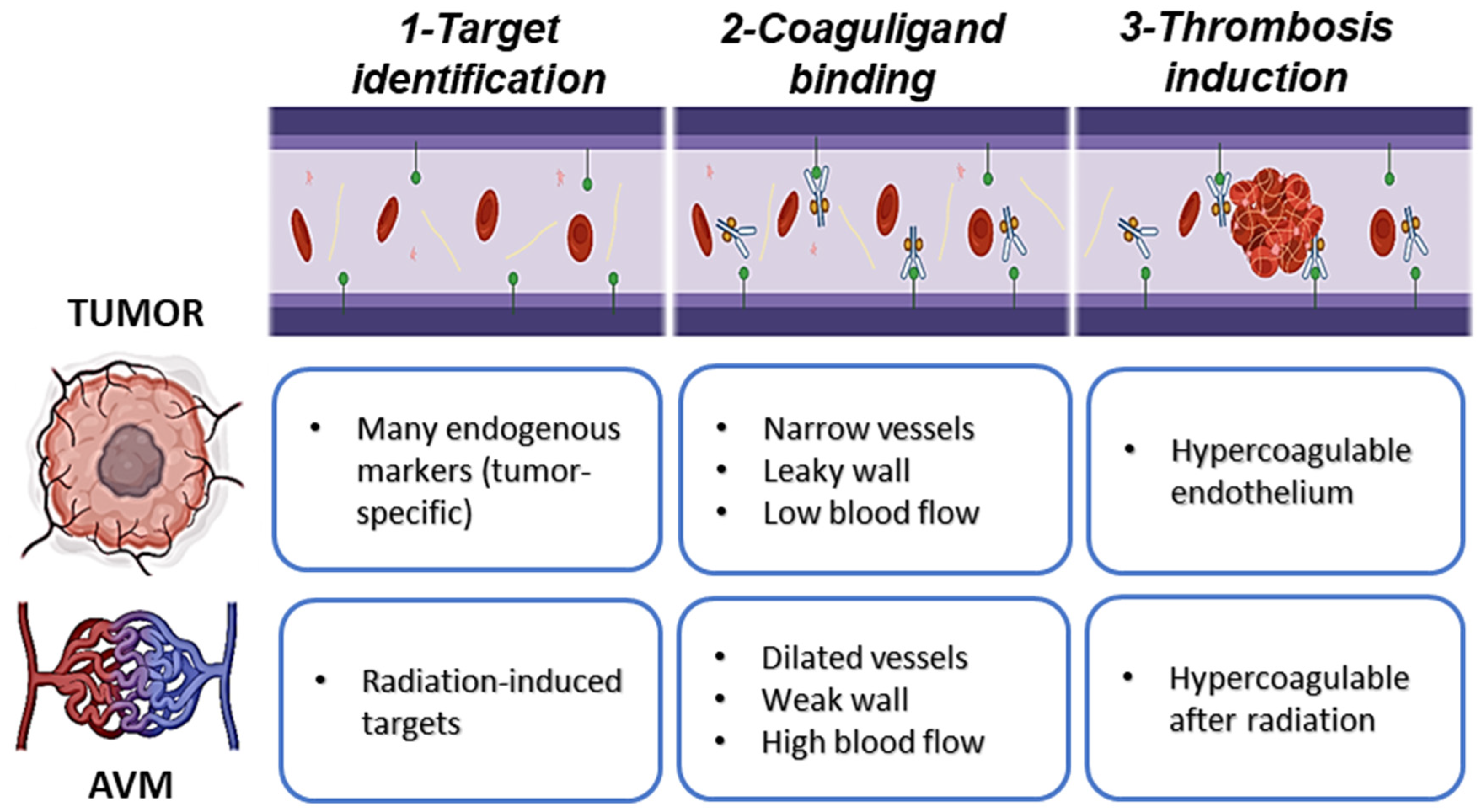 Biomedicines 09 00776 g001