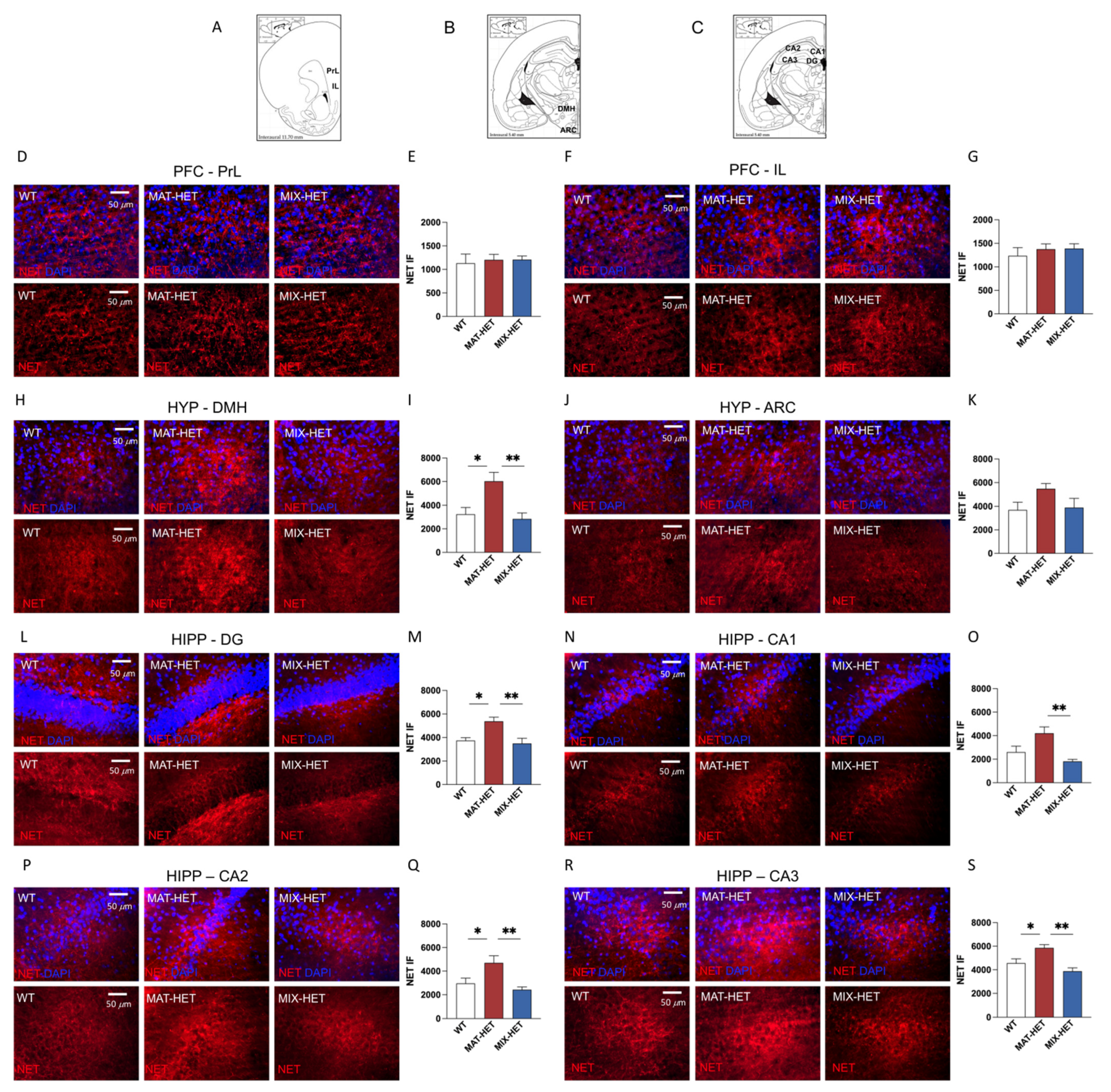 Biomedicines 09 00778 g004 550