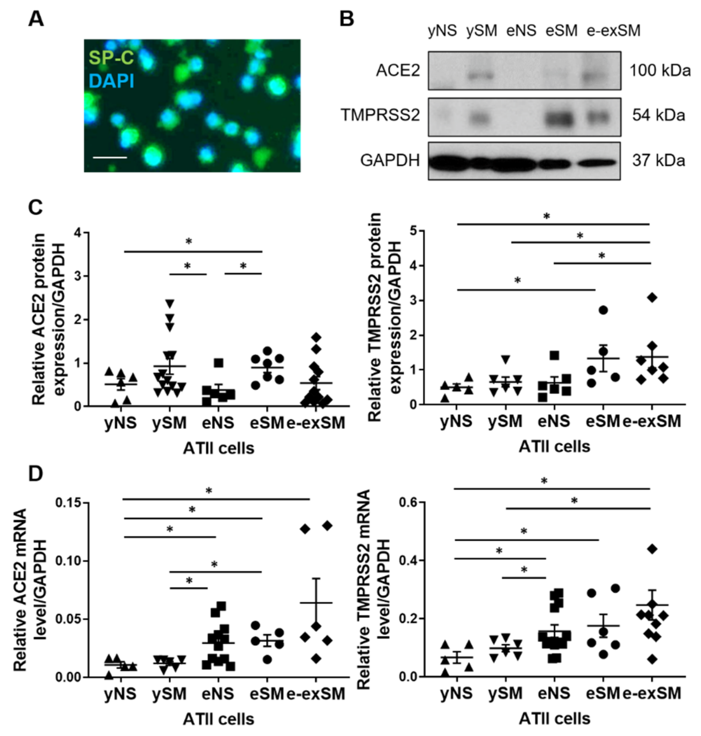 Biomedicines 09 00779 g001 550