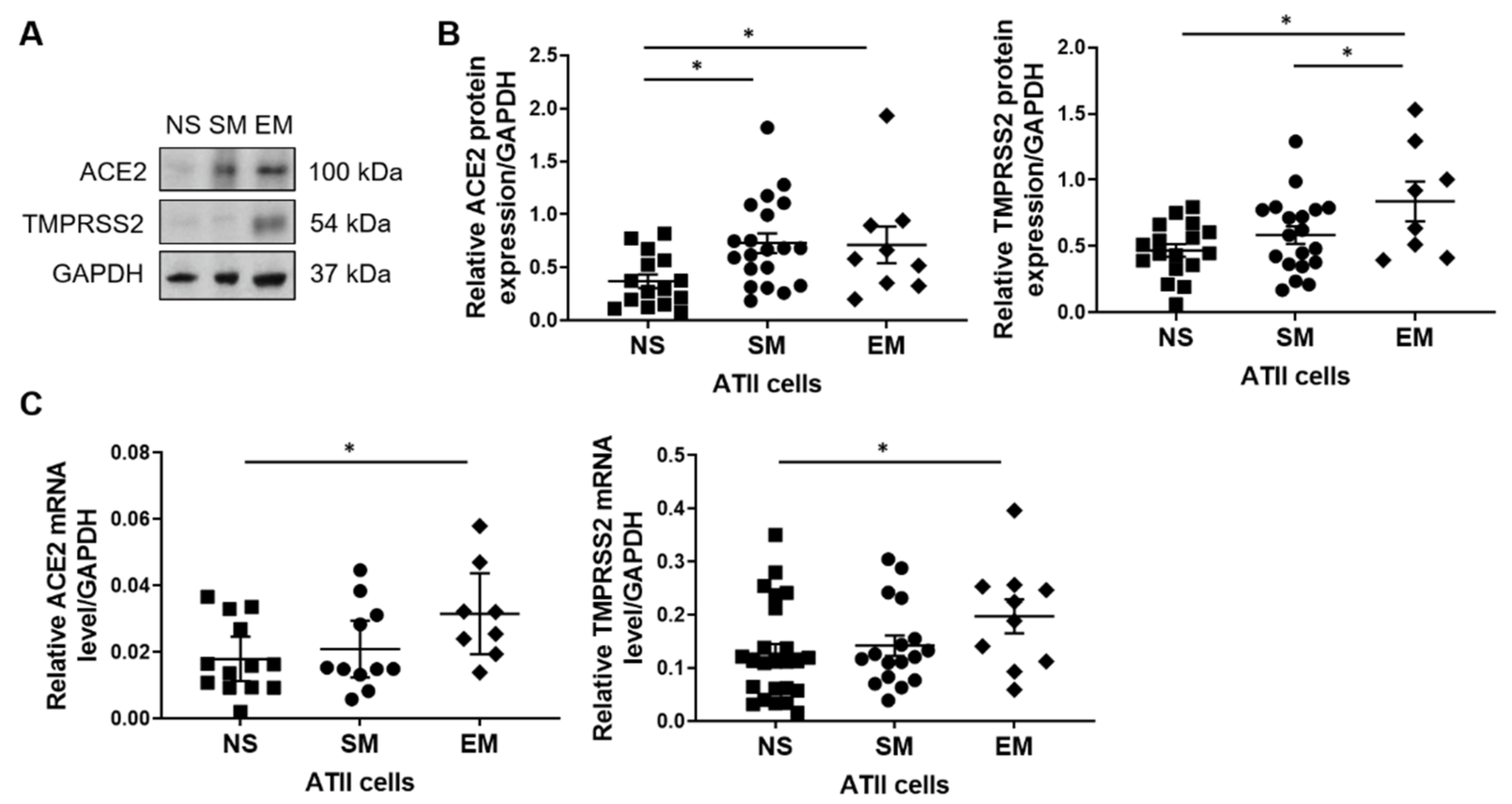 Biomedicines 09 00779 g002 550