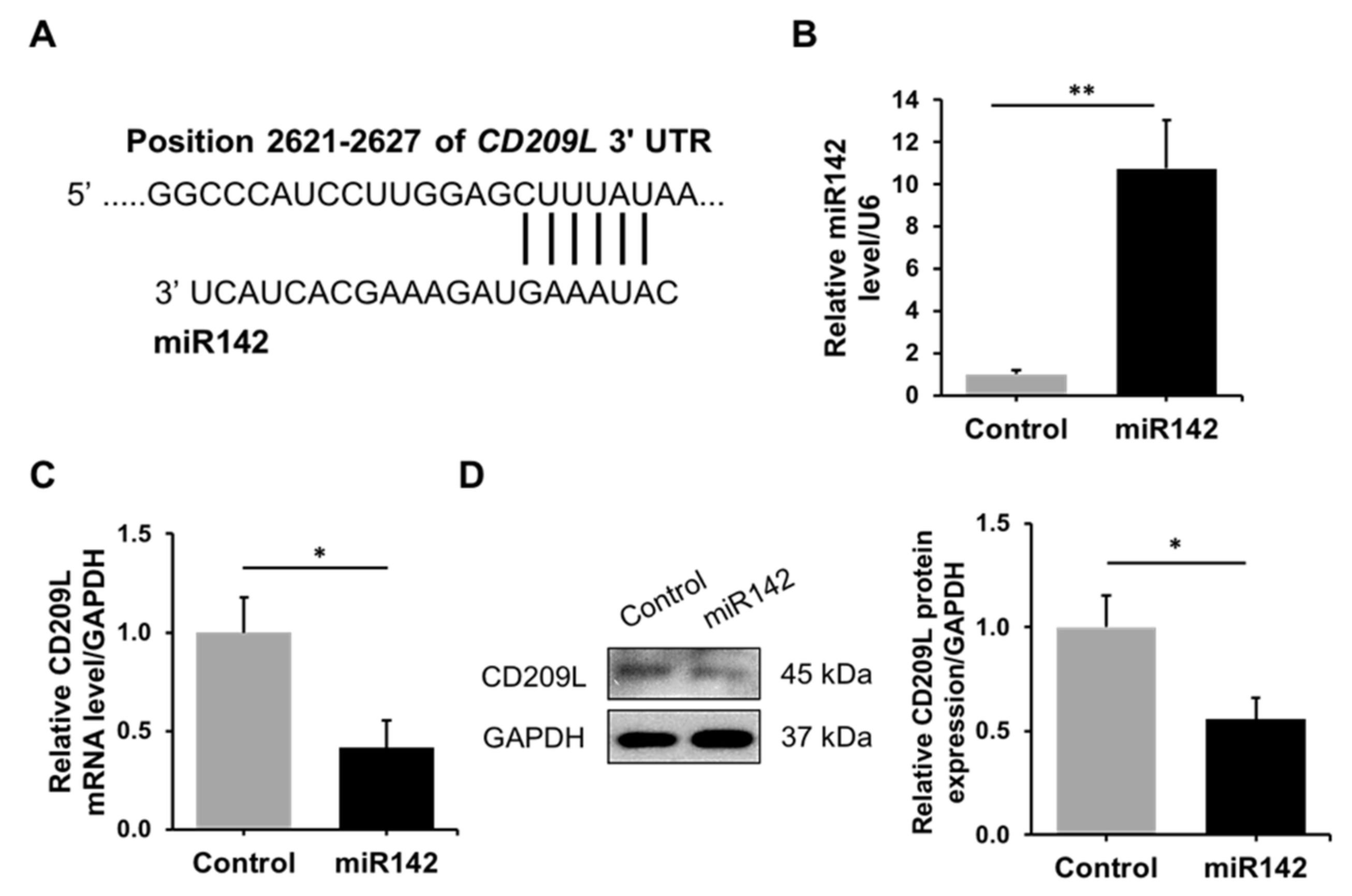 Biomedicines 09 00779 g003 550