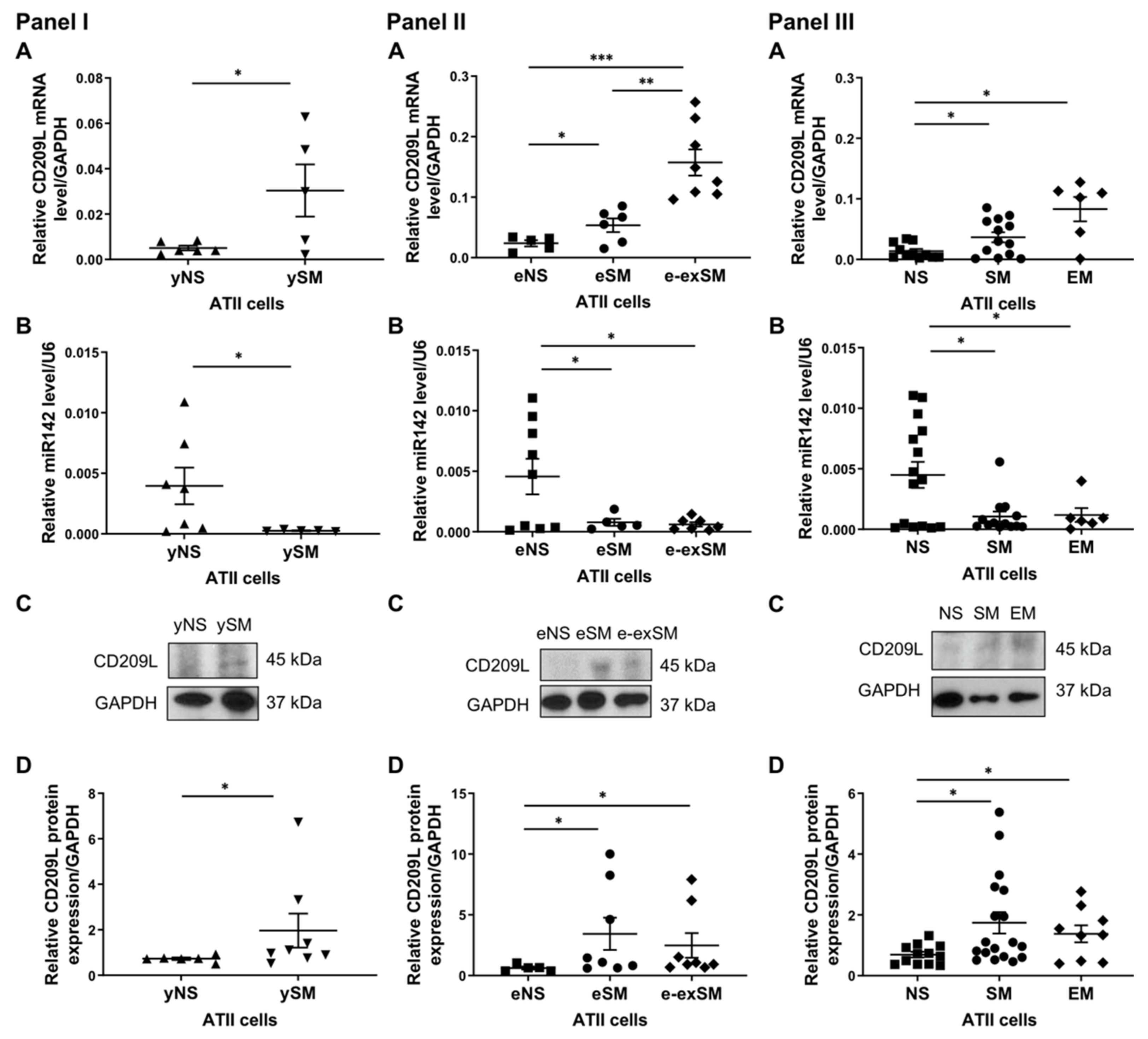 Biomedicines 09 00779 g004 550