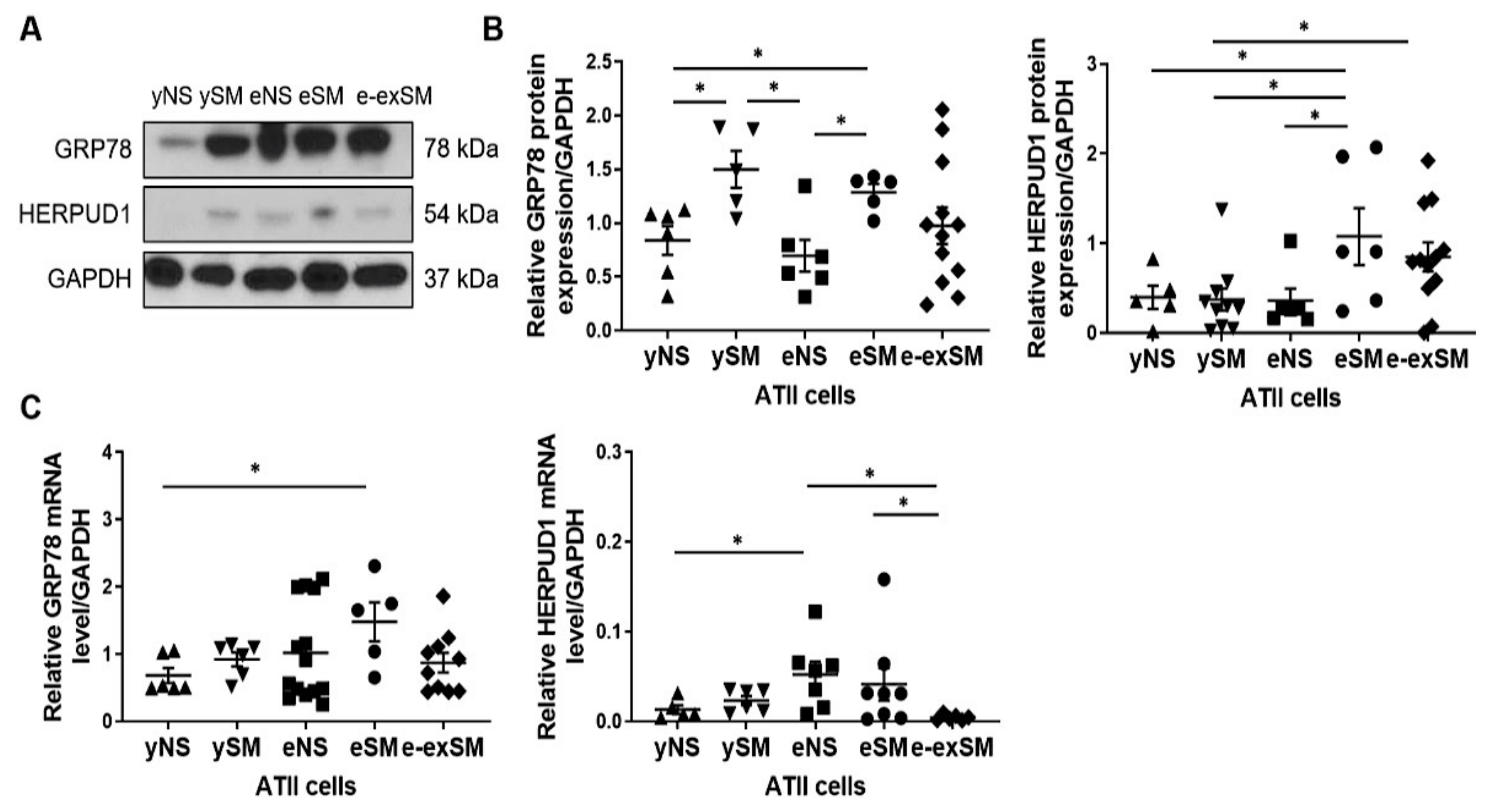 Biomedicines 09 00779 g005 550
