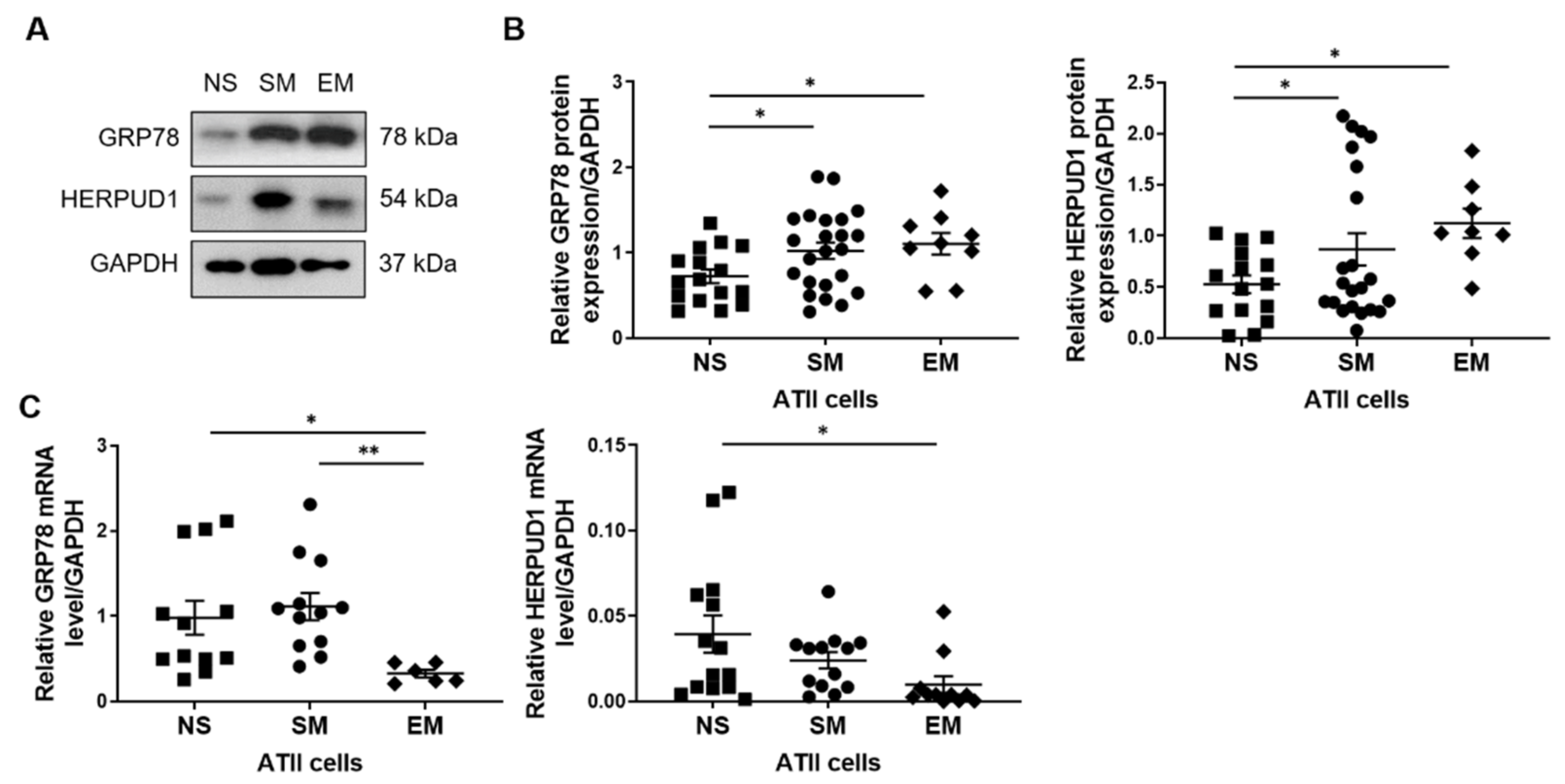 Biomedicines 09 00779 g006 550
