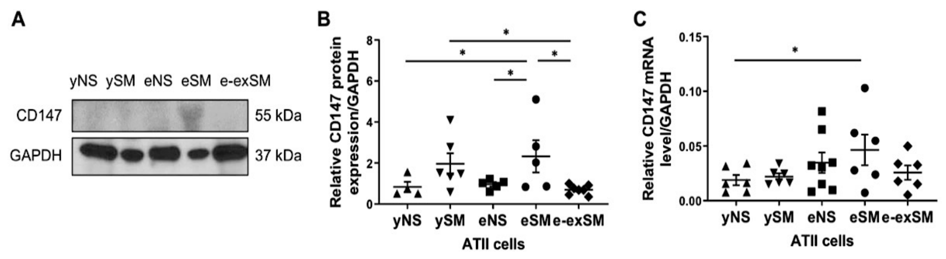 Biomedicines 09 00779 g007 550