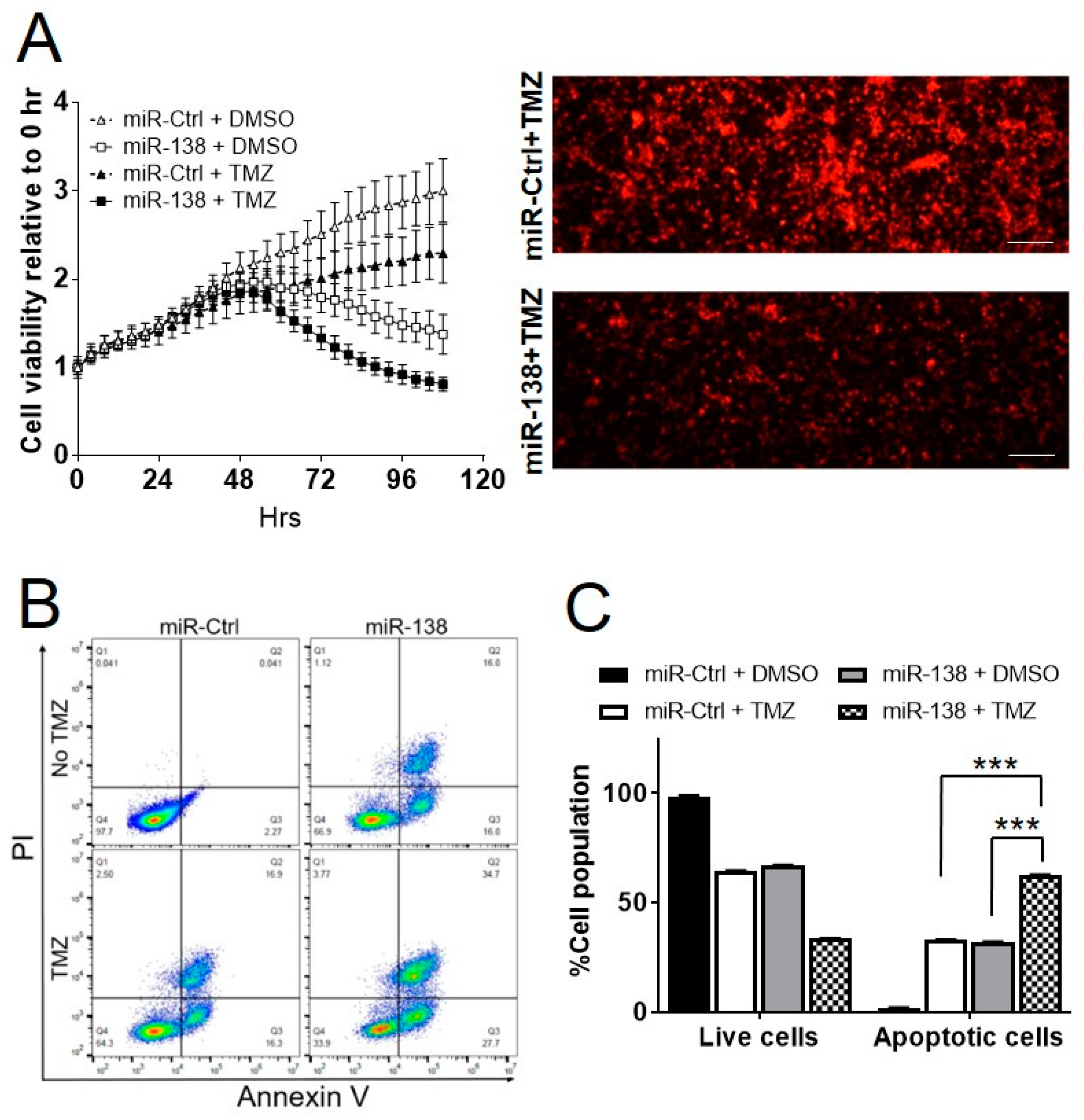 Biomedicines 09 00780 g002