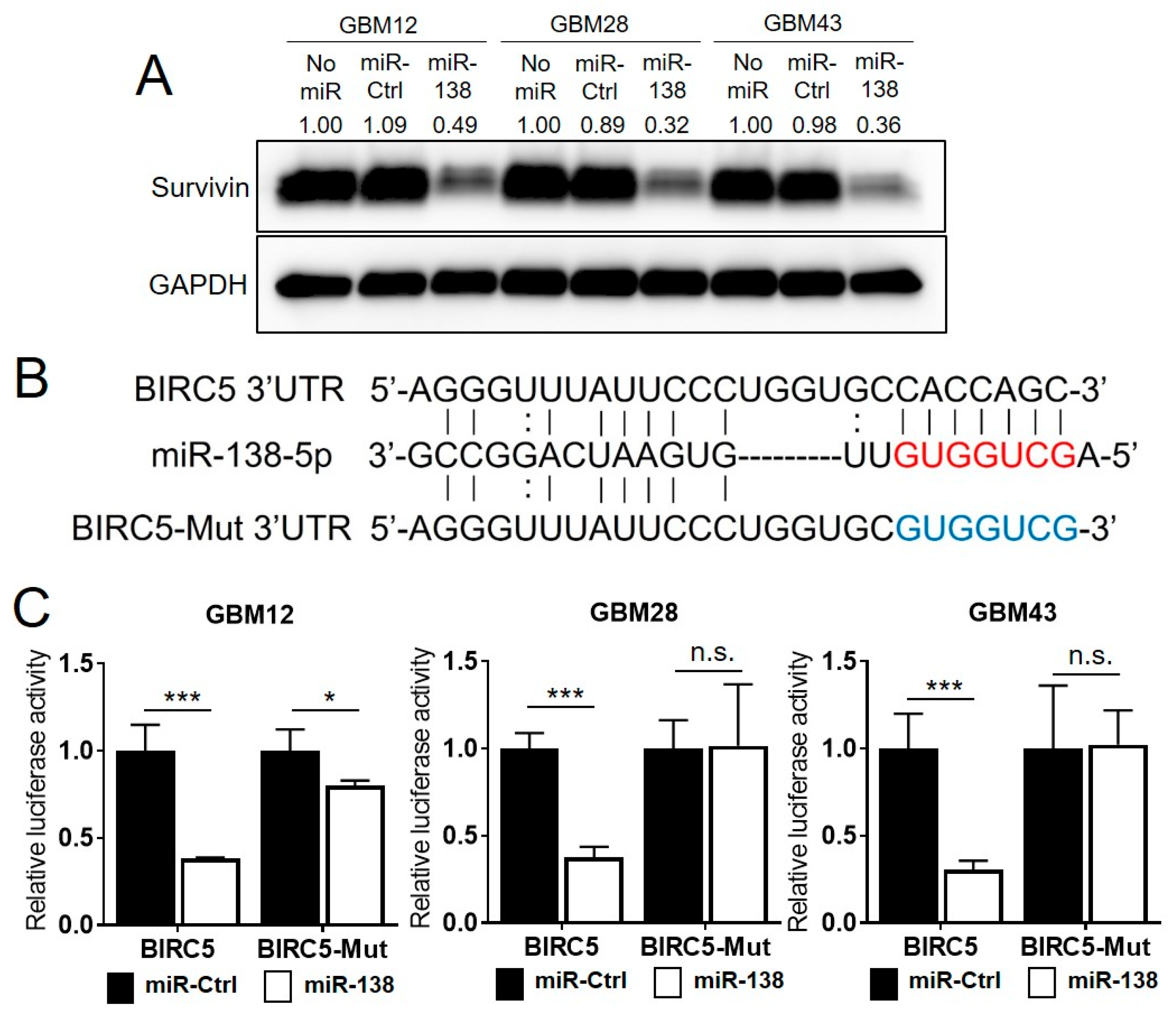 Biomedicines 09 00780 g004