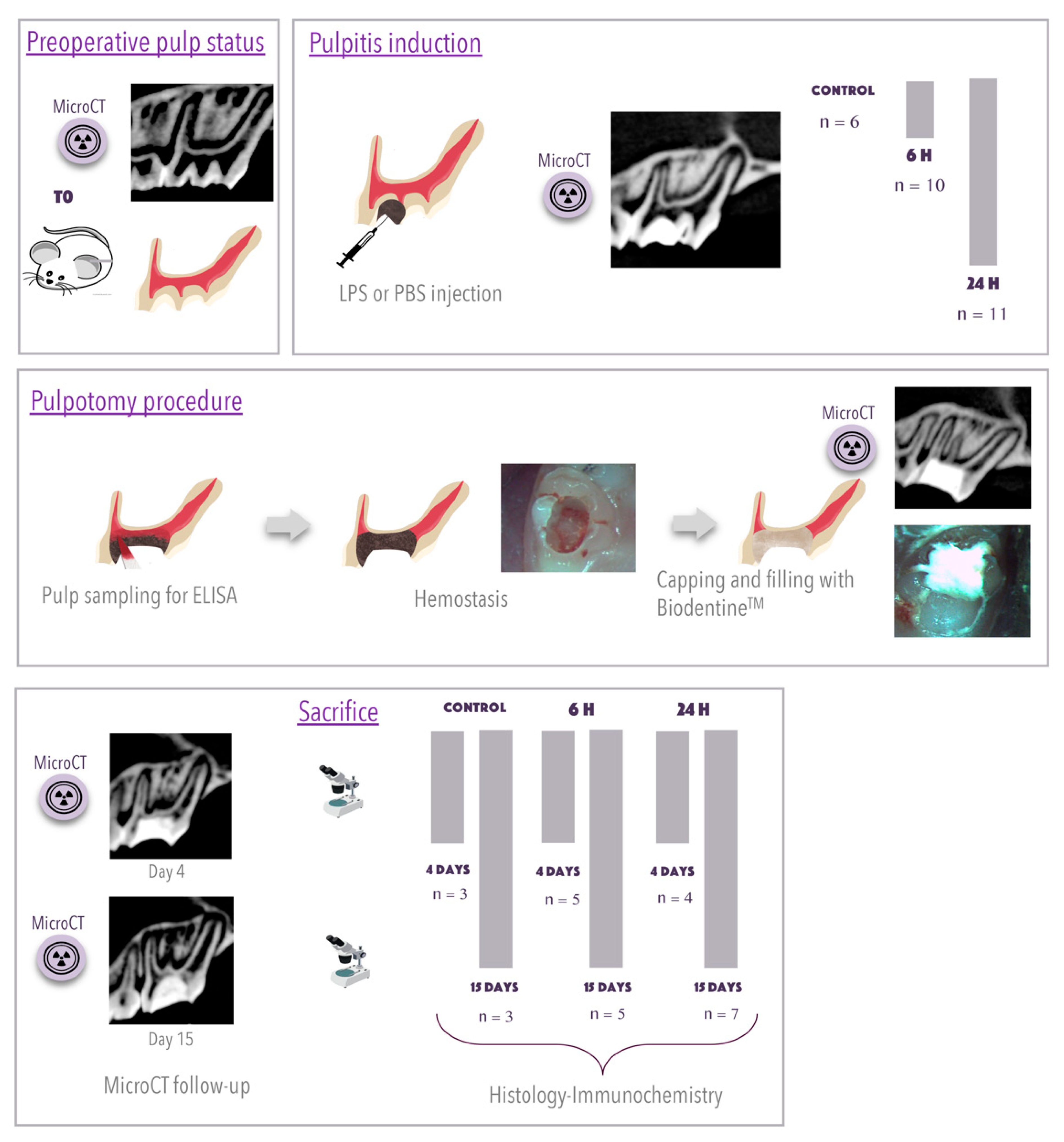 Biomedicines 09 00784 g001