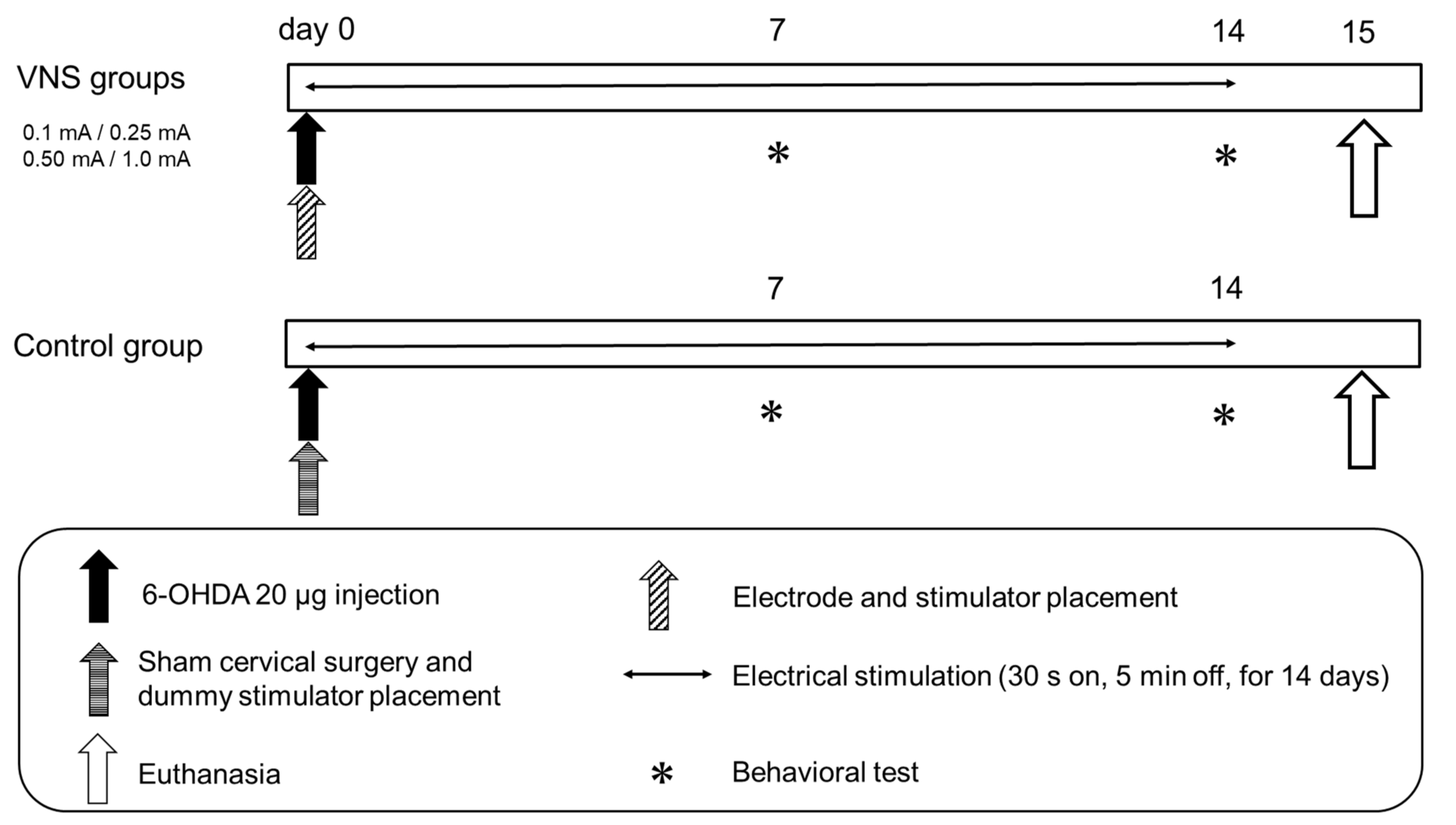 Biomedicines 09 00789 g003