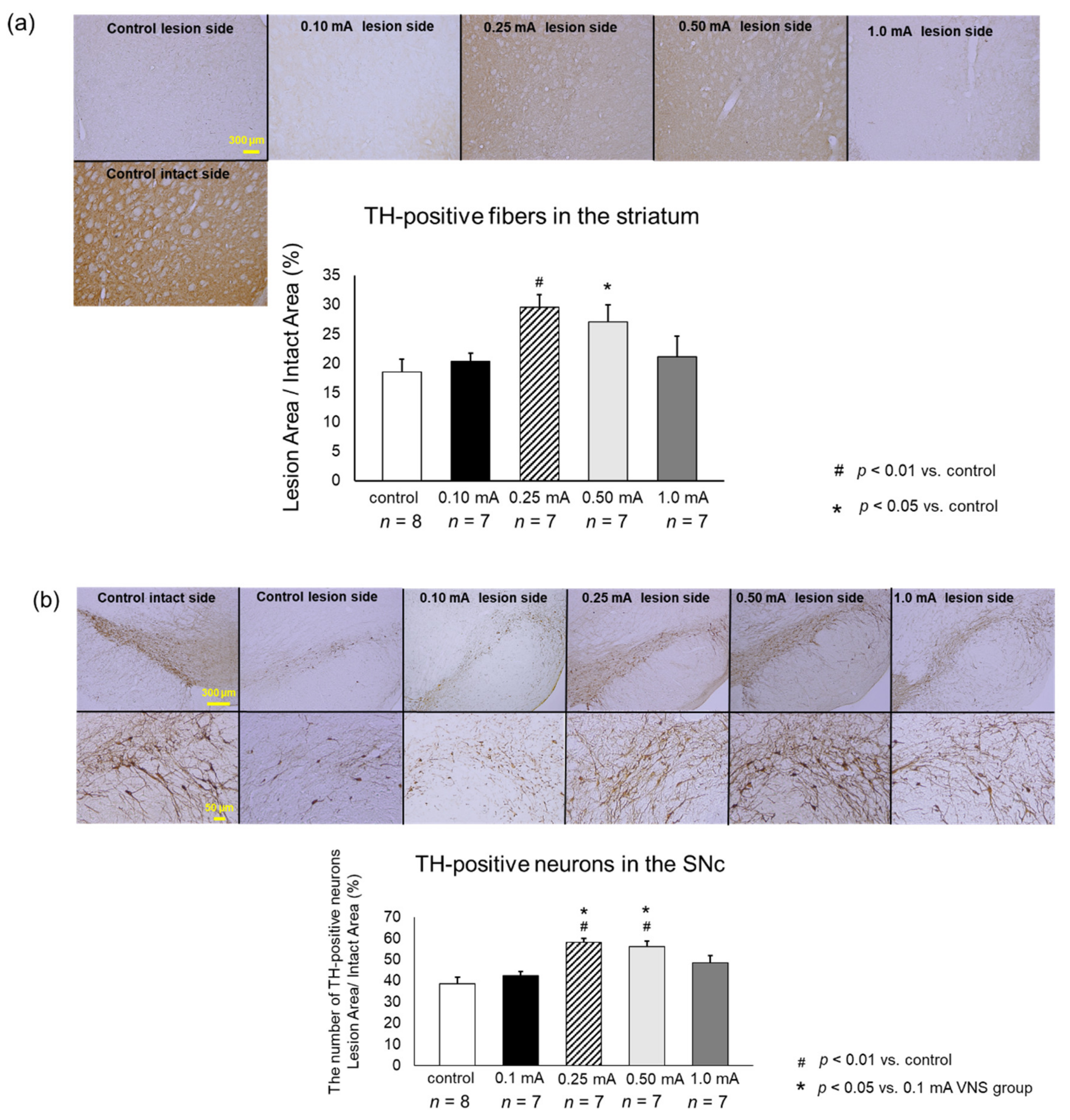Biomedicines 09 00789 g006