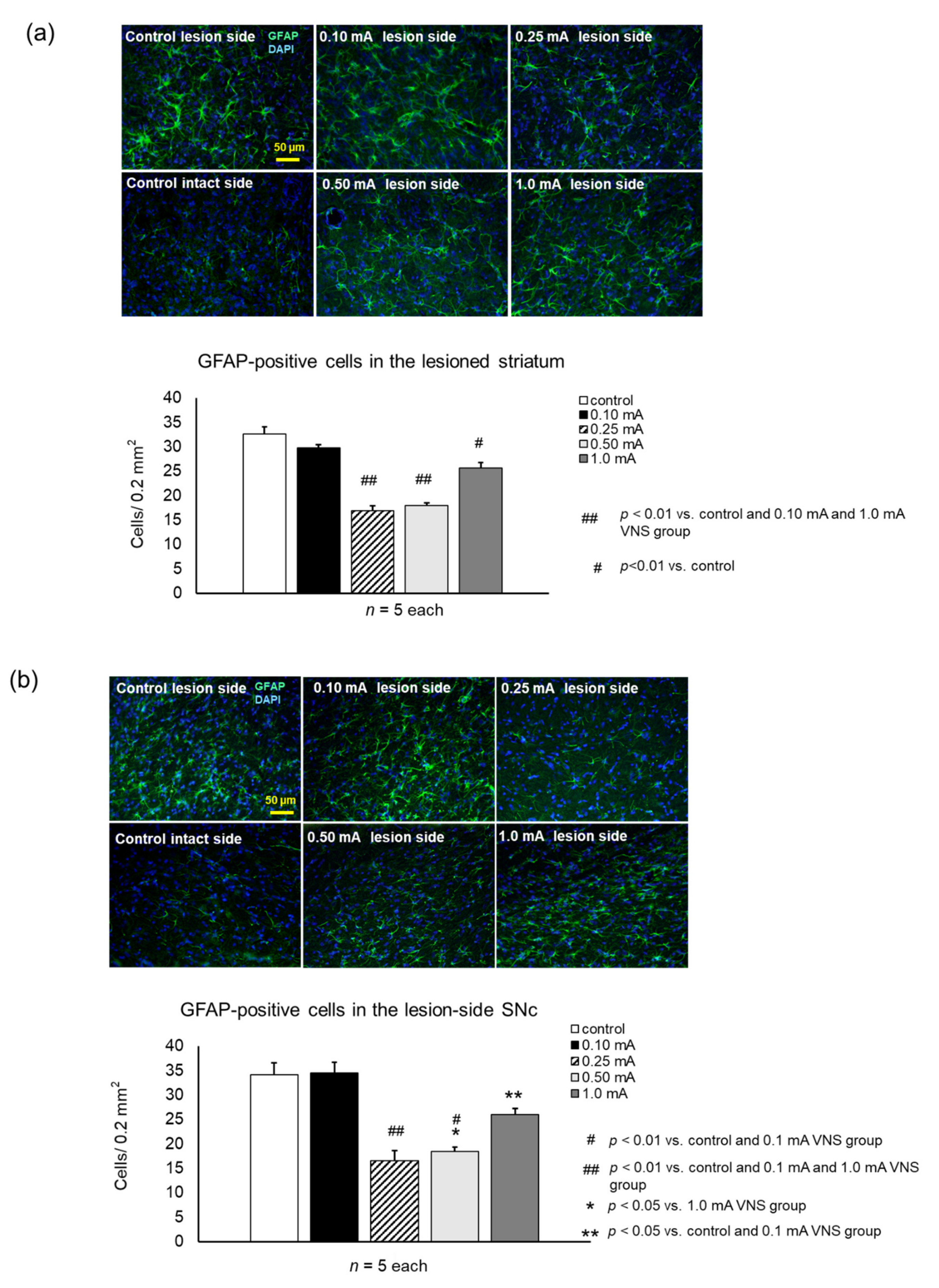 Biomedicines 09 00789 g008