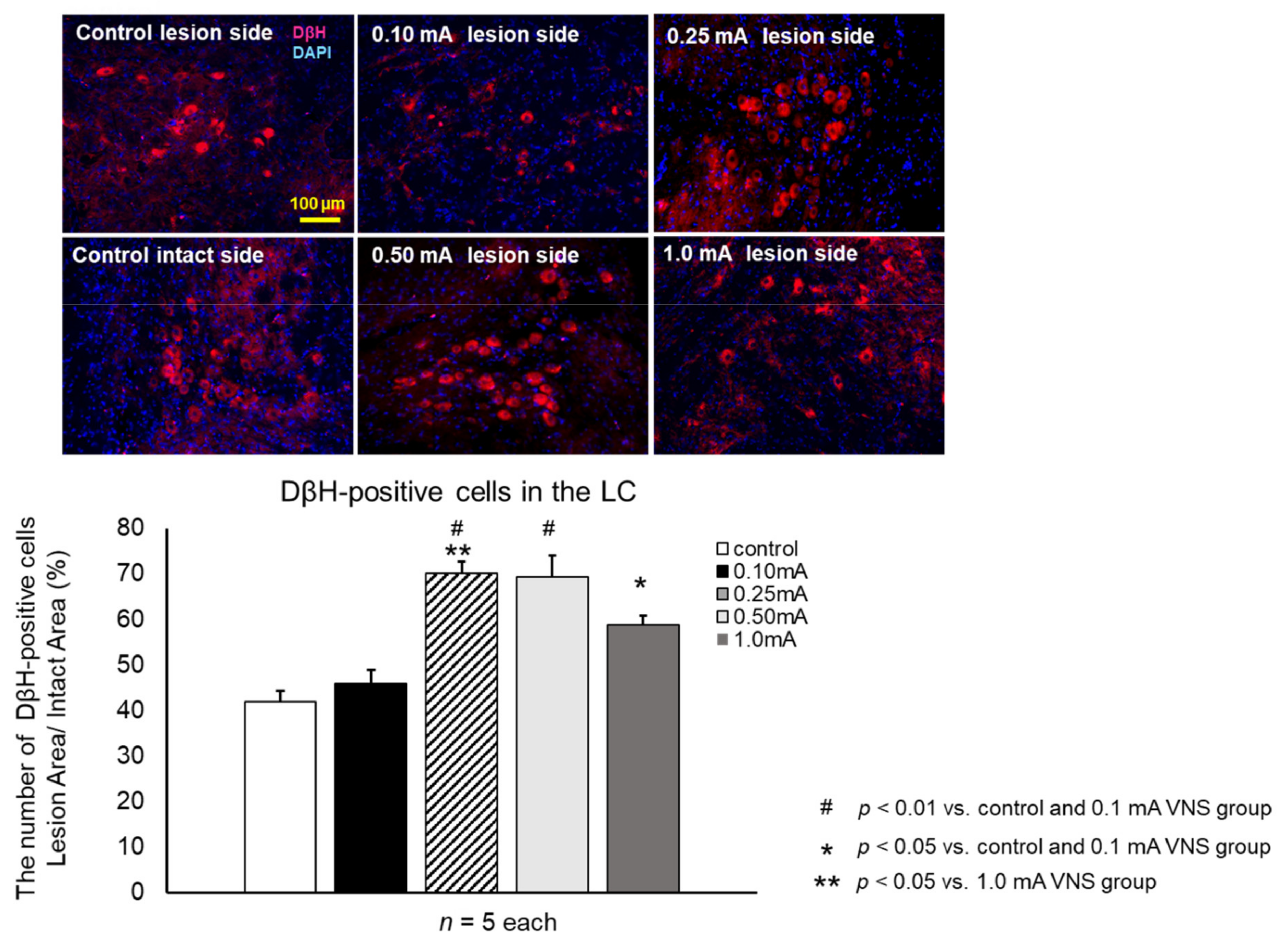 Biomedicines 09 00789 g009