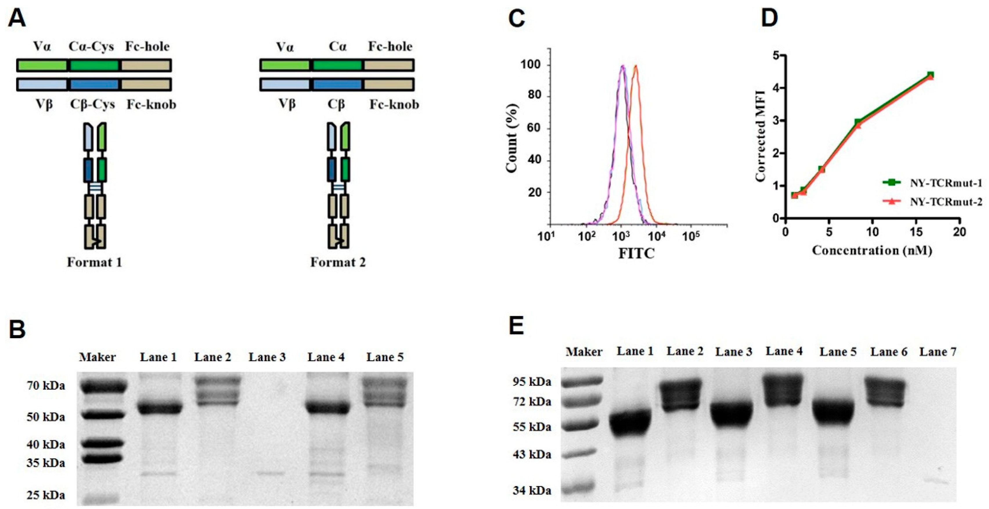 Biomedicines 09 00790 g001 550