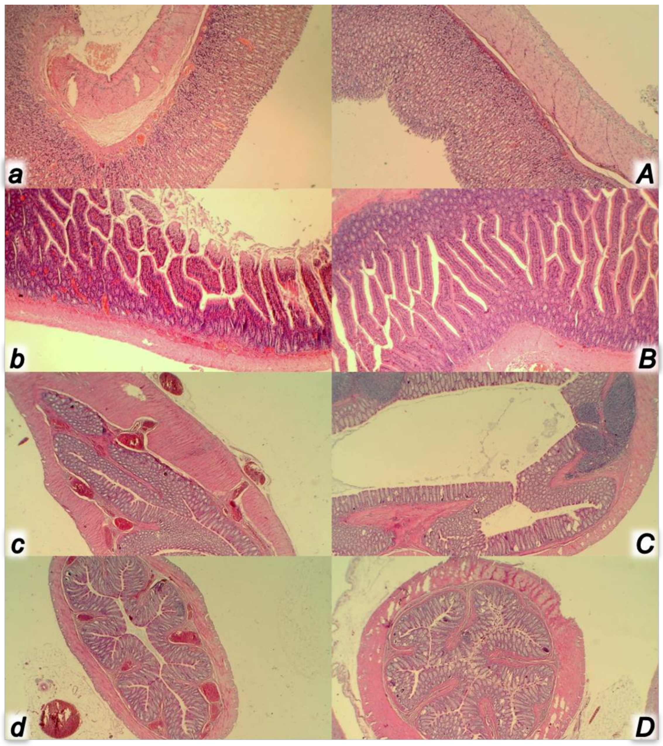 Biomedicines 09 00792 g011 Biomedicines 09 00792 g011