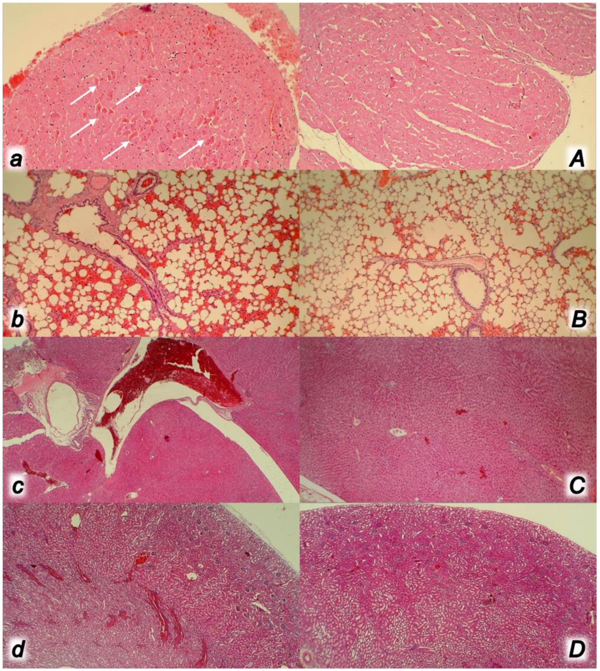 Biomedicines 09 00792 g012 Biomedicines 09 00792 g012