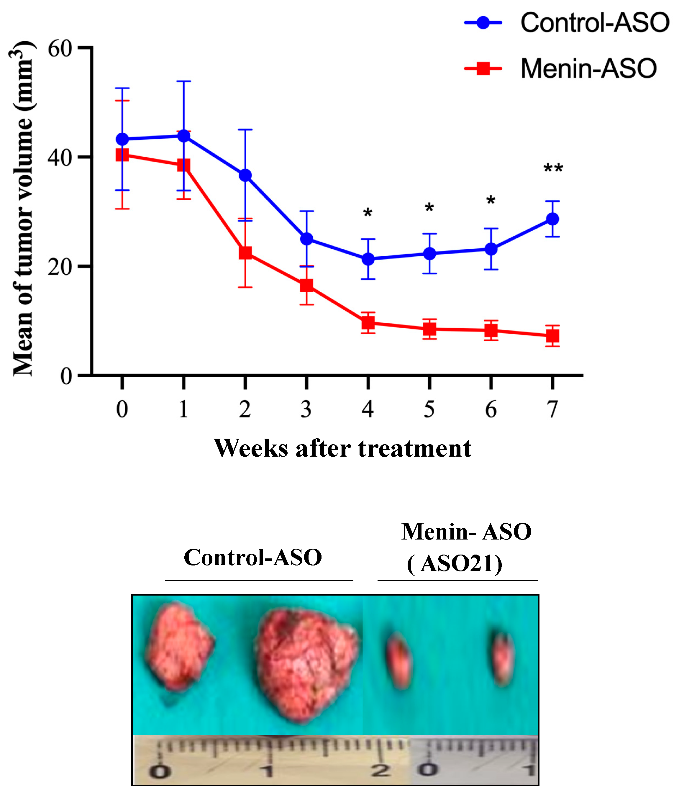 Biomedicines 09 00795 g005