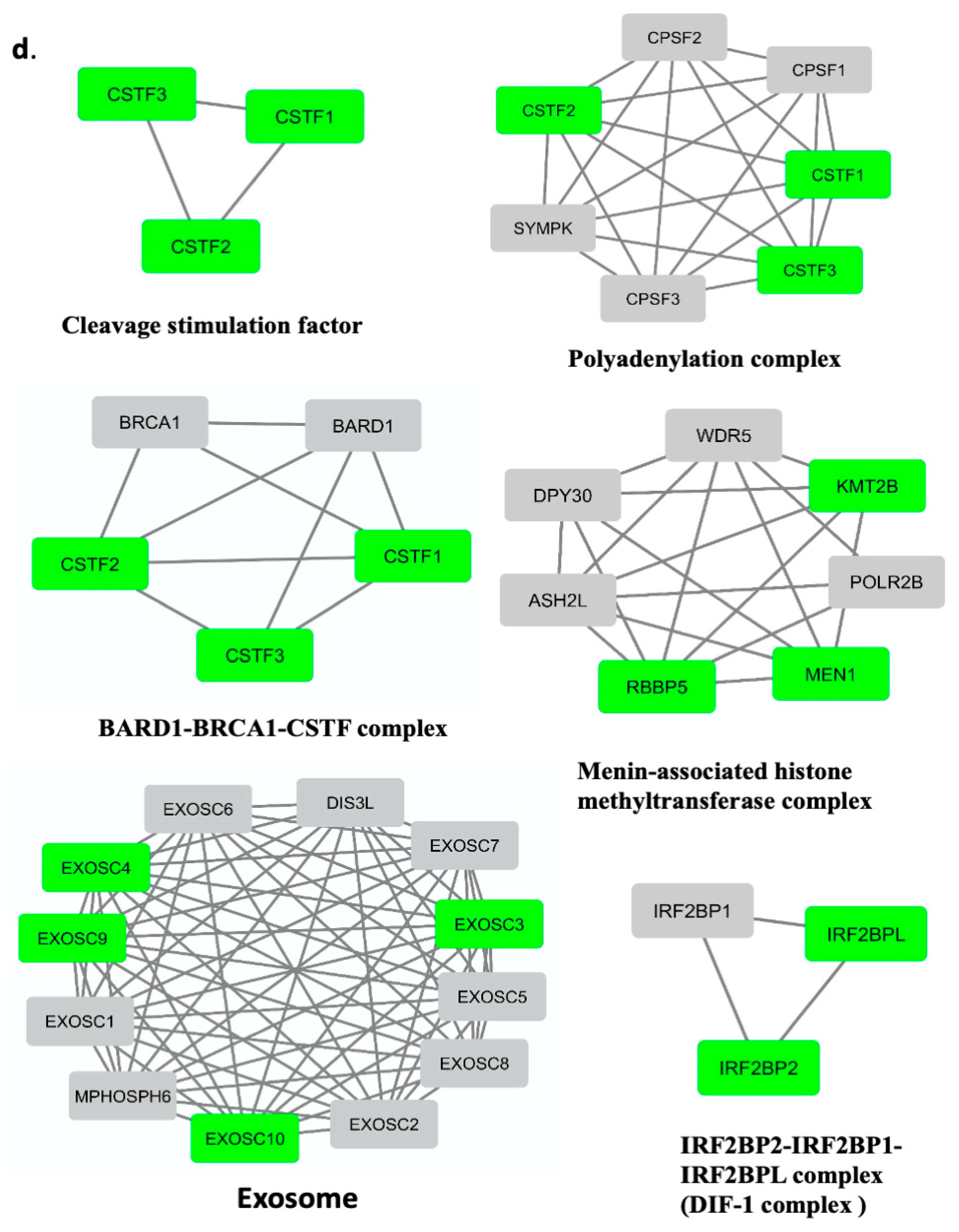 Biomedicines 09 00795 g006c