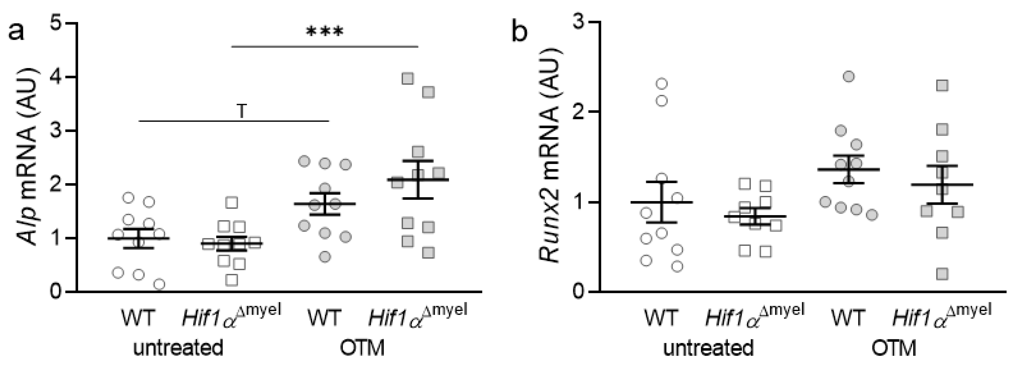 Biomedicines 09 00796 g001 550