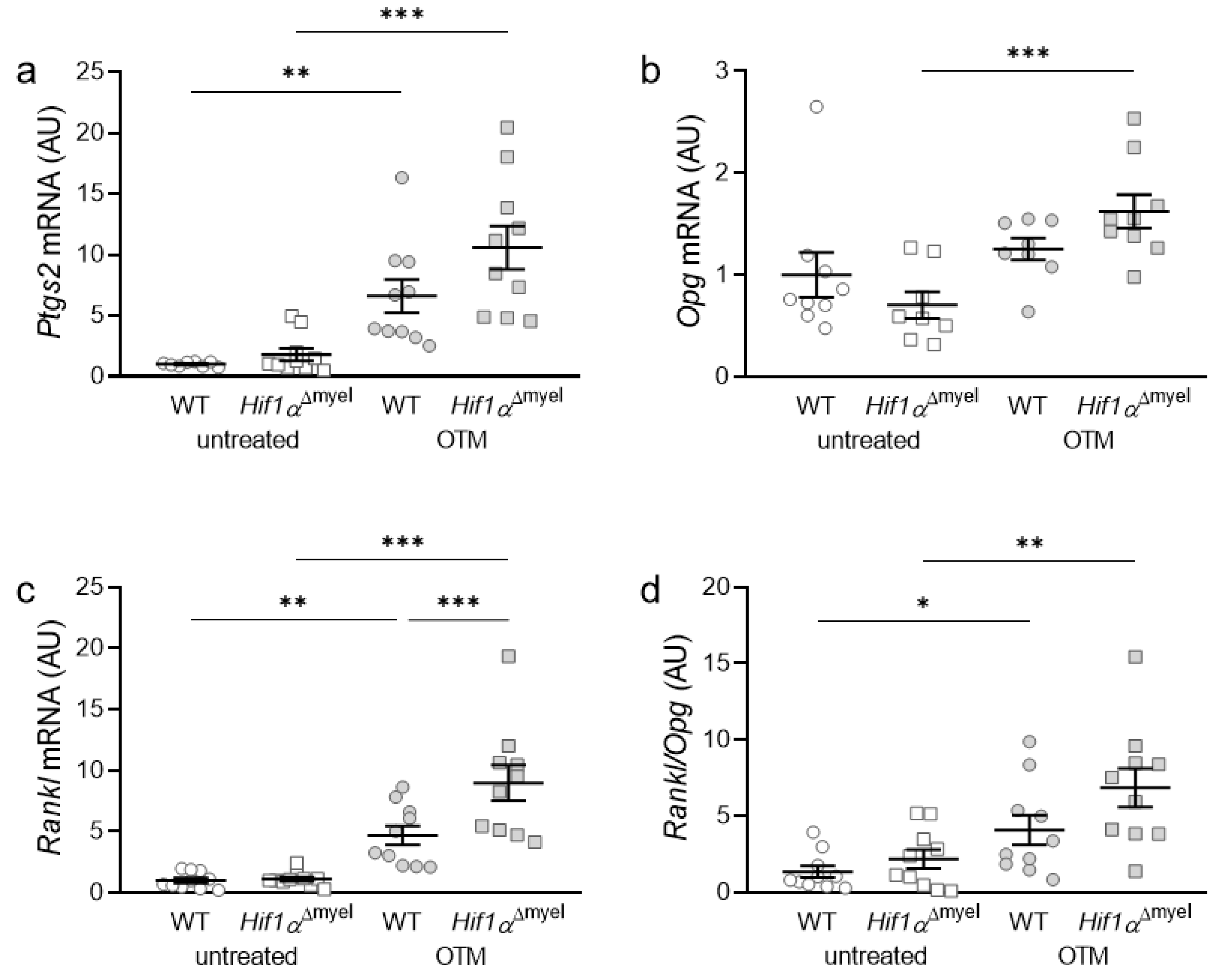 Biomedicines 09 00796 g002 550