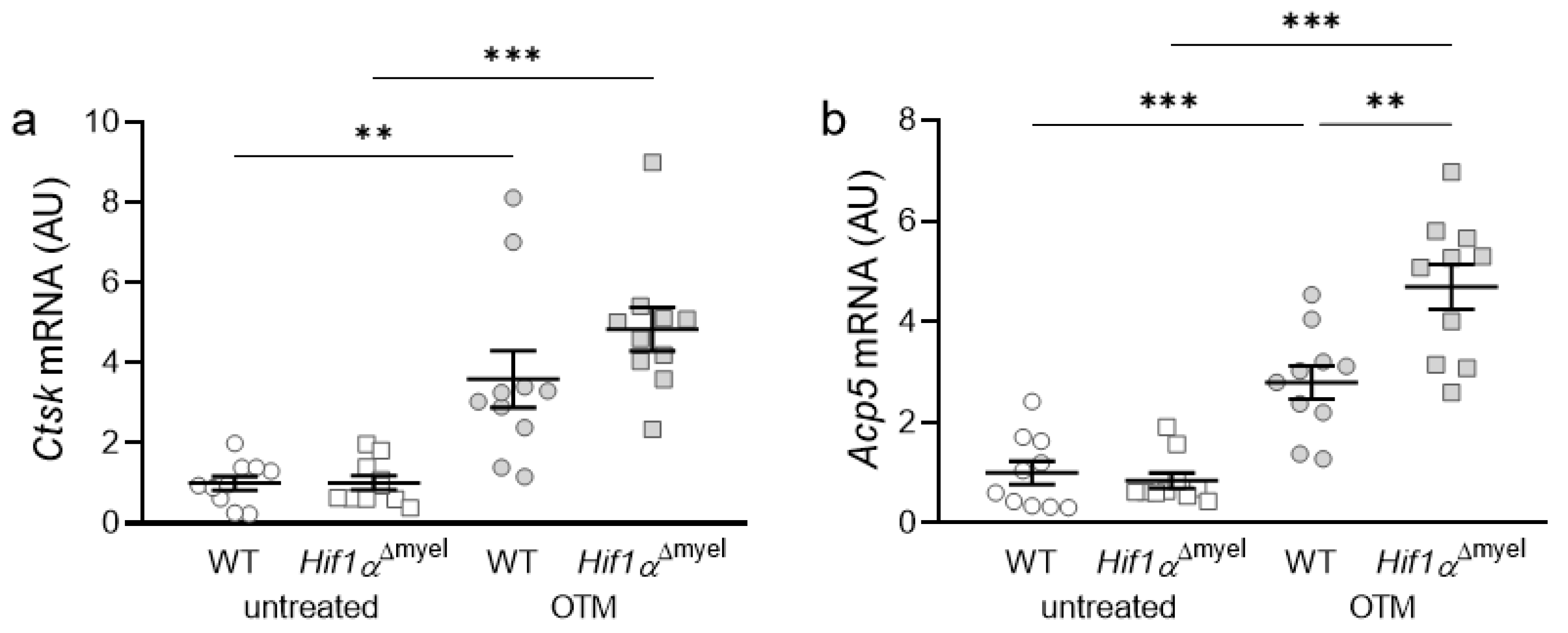 Biomedicines 09 00796 g003 550