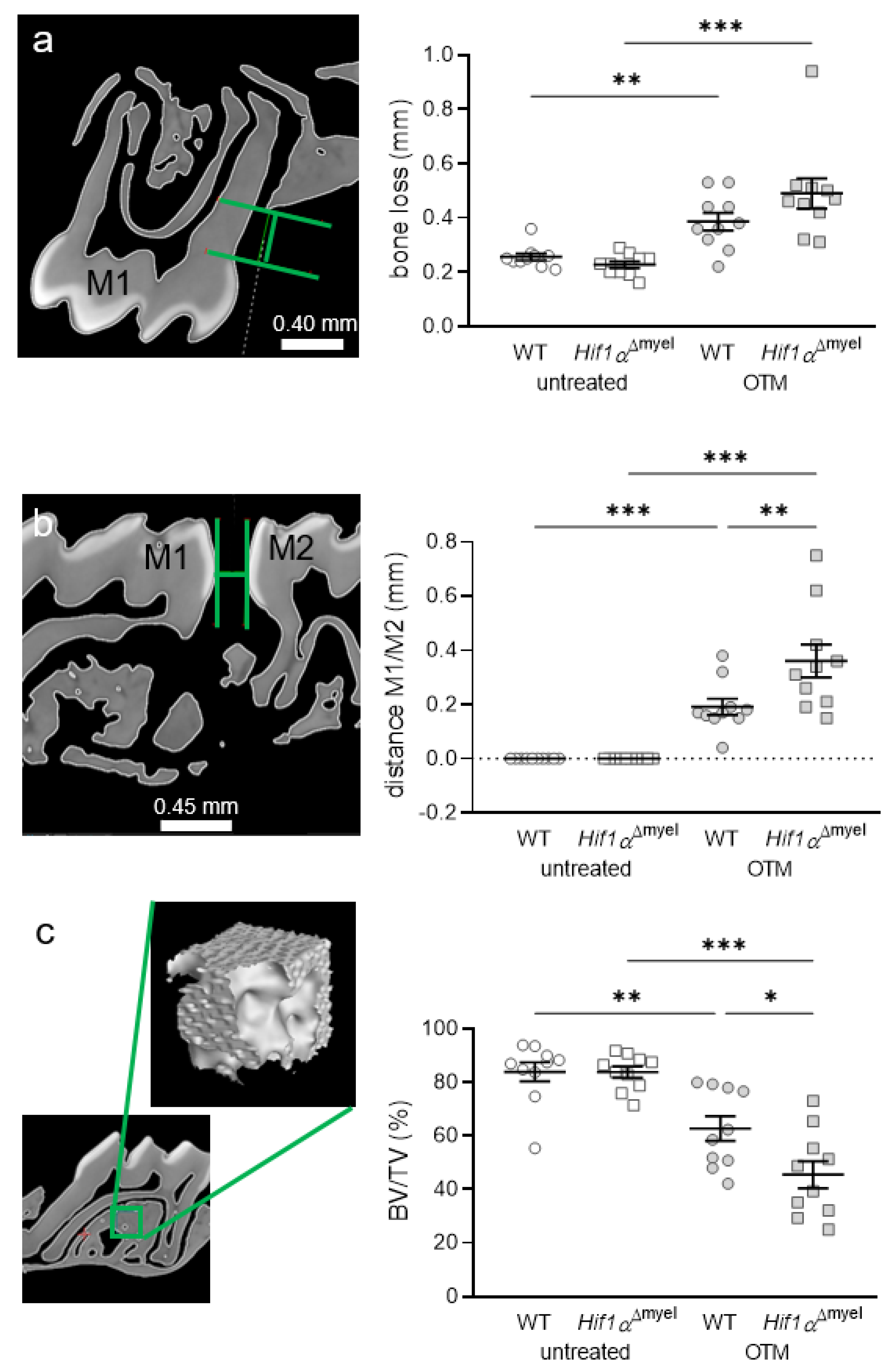Biomedicines 09 00796 g004 550