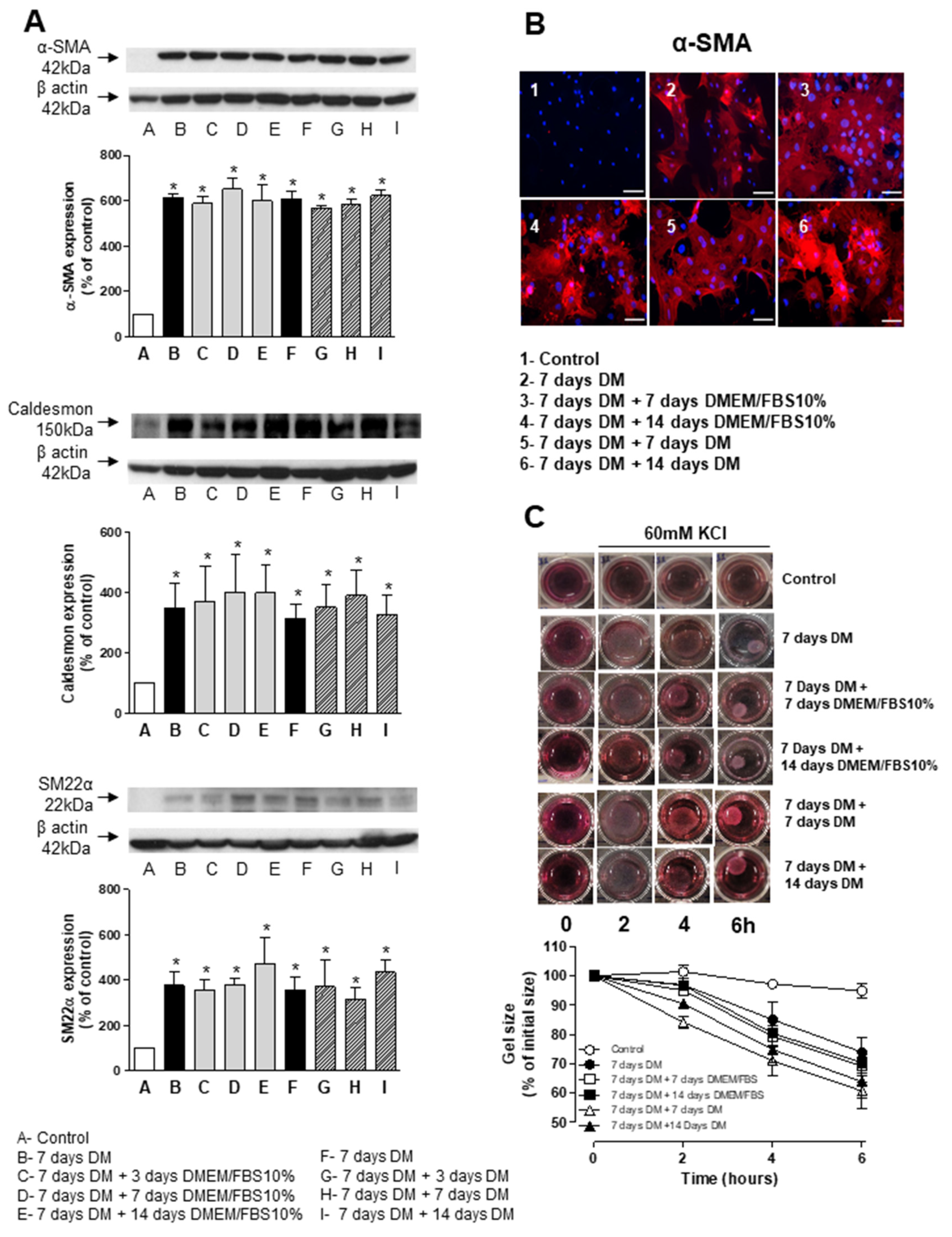 Biomedicines 09 00797 g005 550