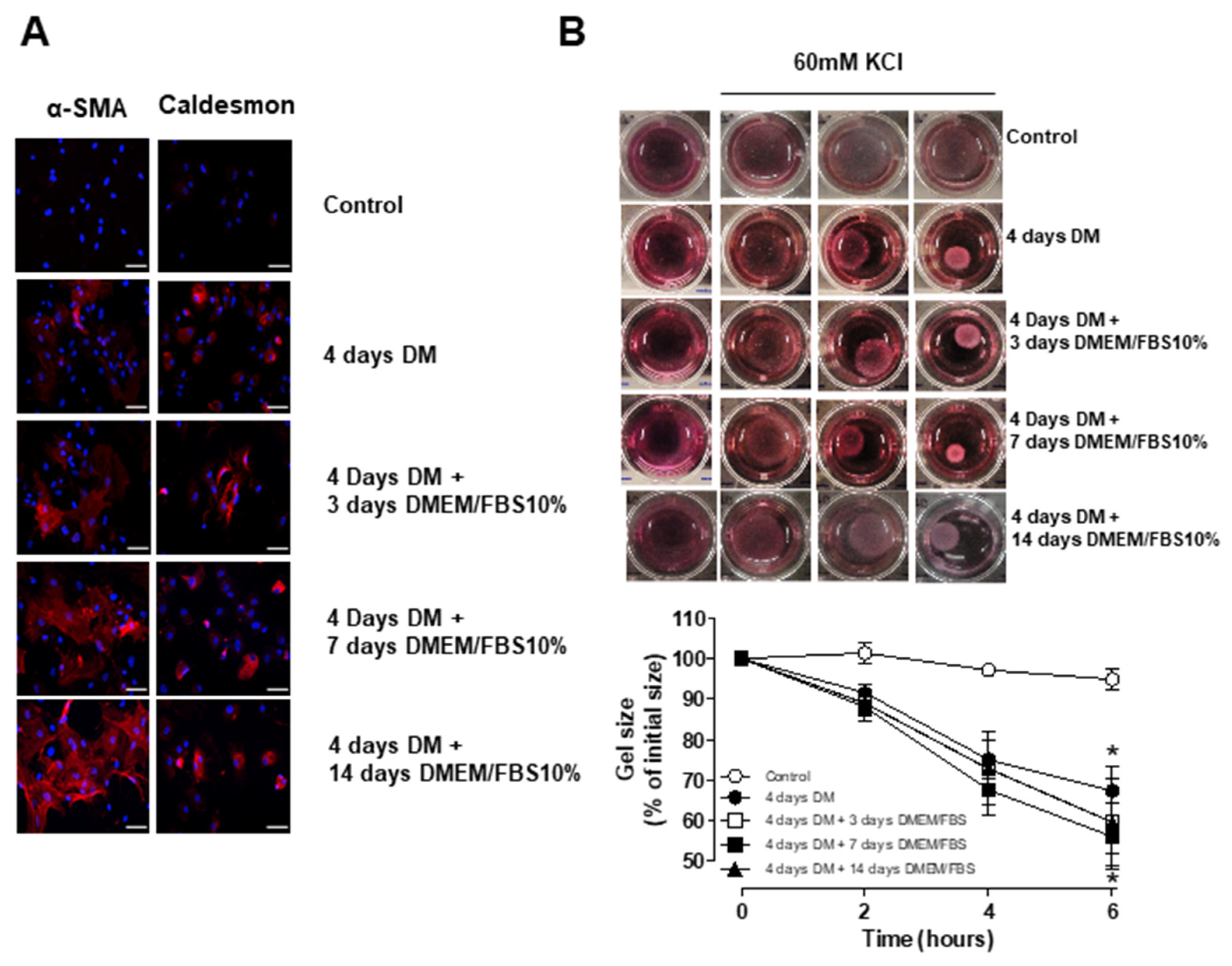 Biomedicines 09 00797 g006 550