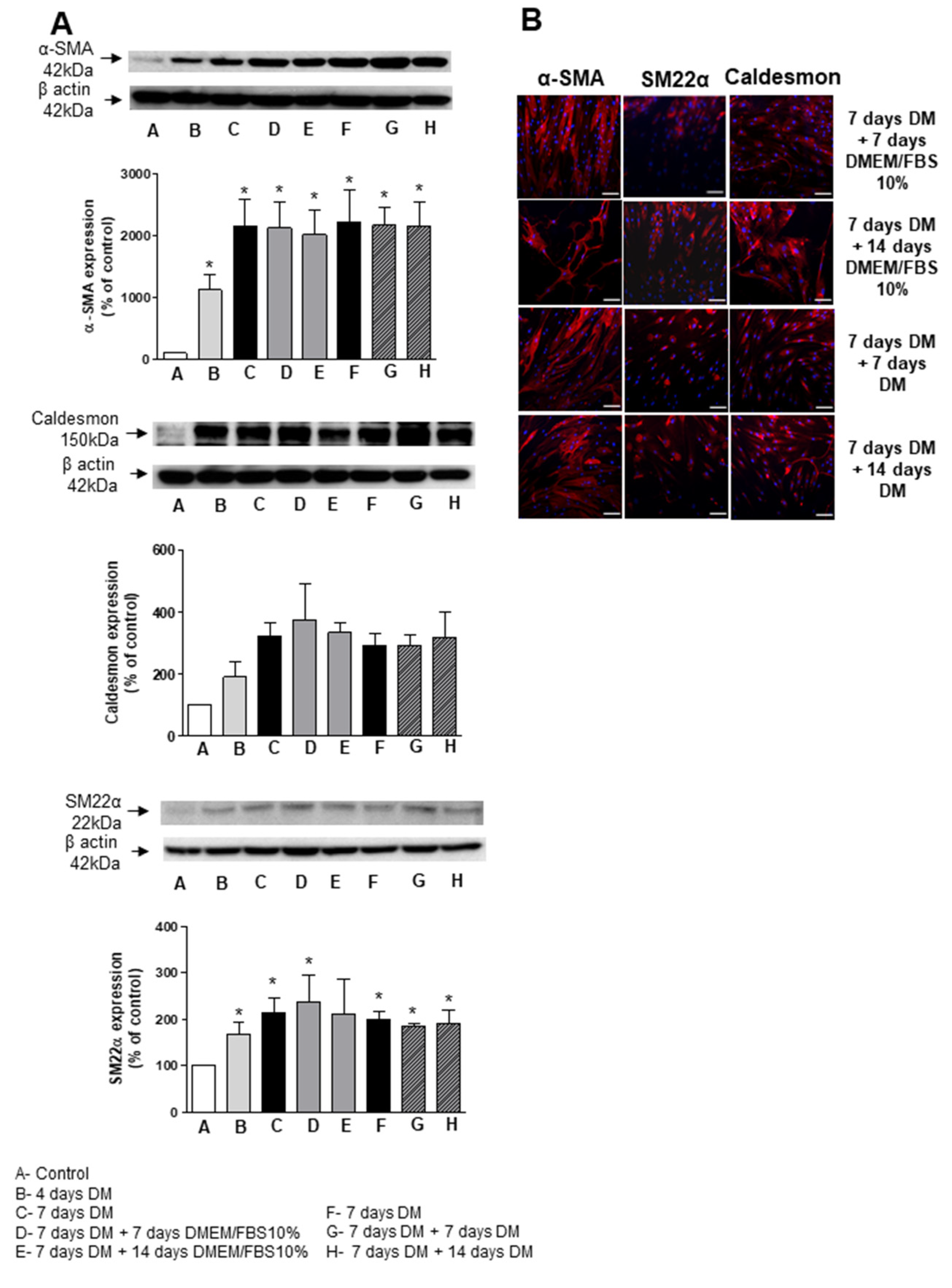 Biomedicines 09 00797 g007 550