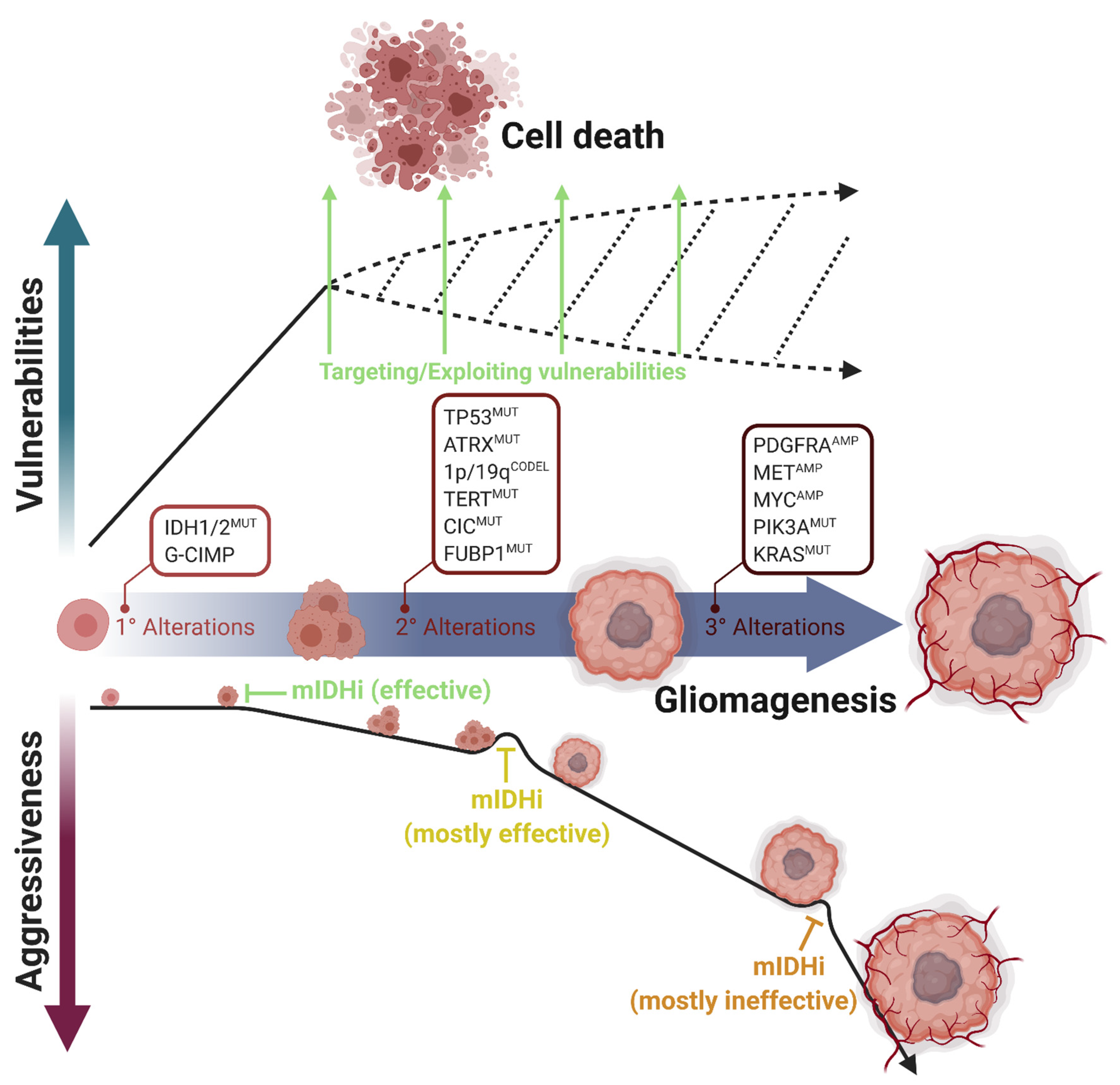 Biomedicines 09 00799 g002