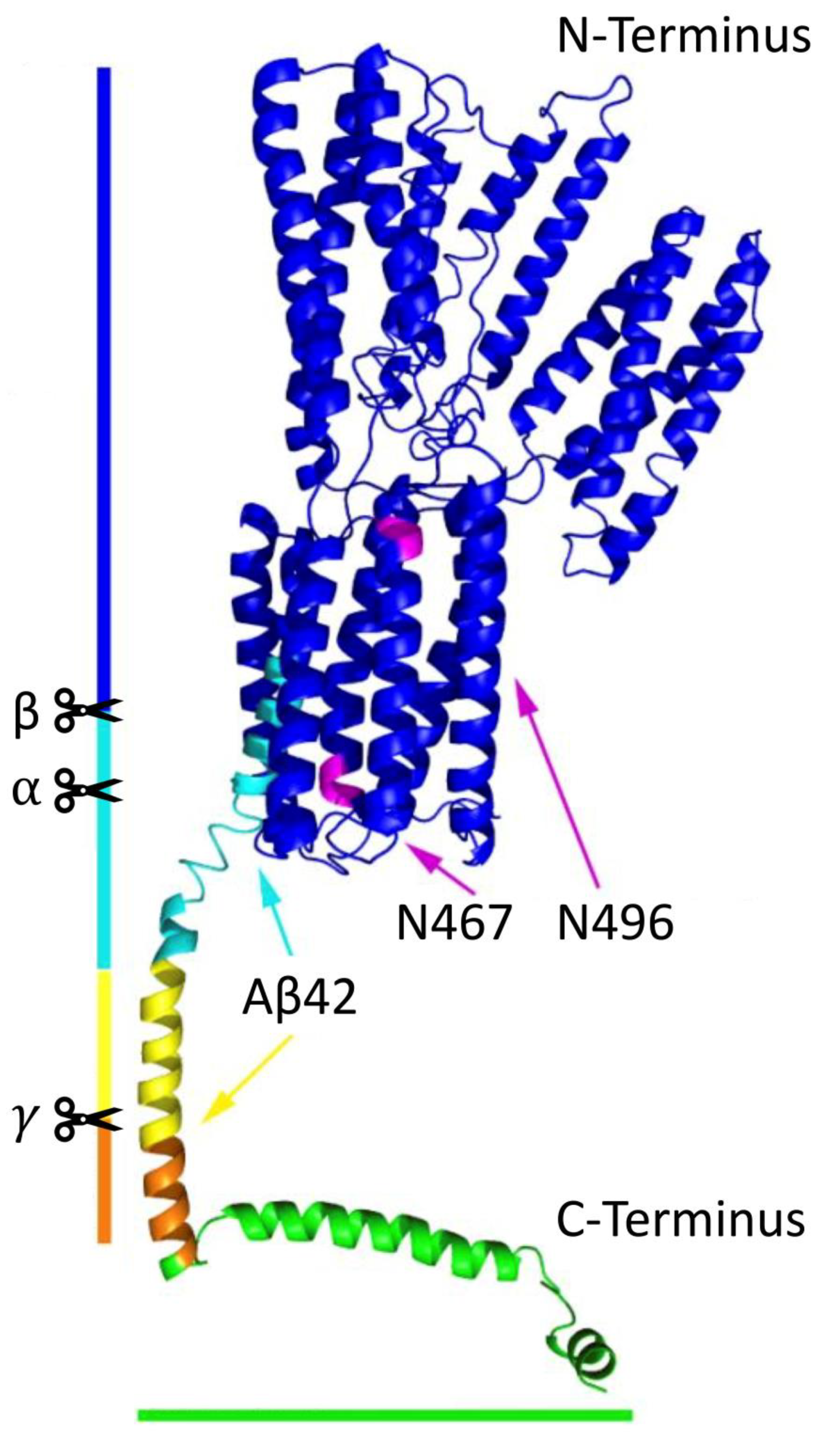 Biomedicines 09 00801 g001