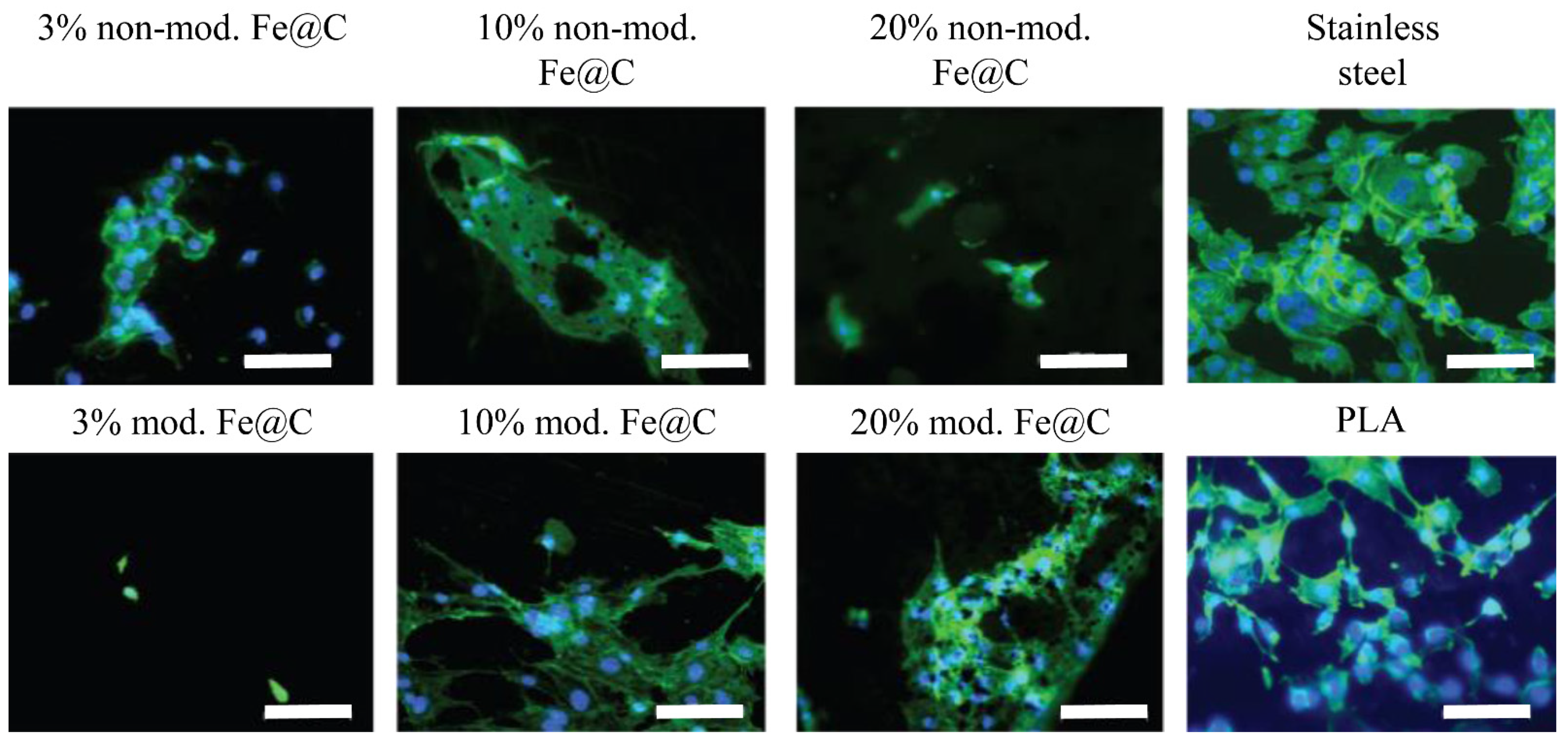 Biomedicines 09 00802 g003 550