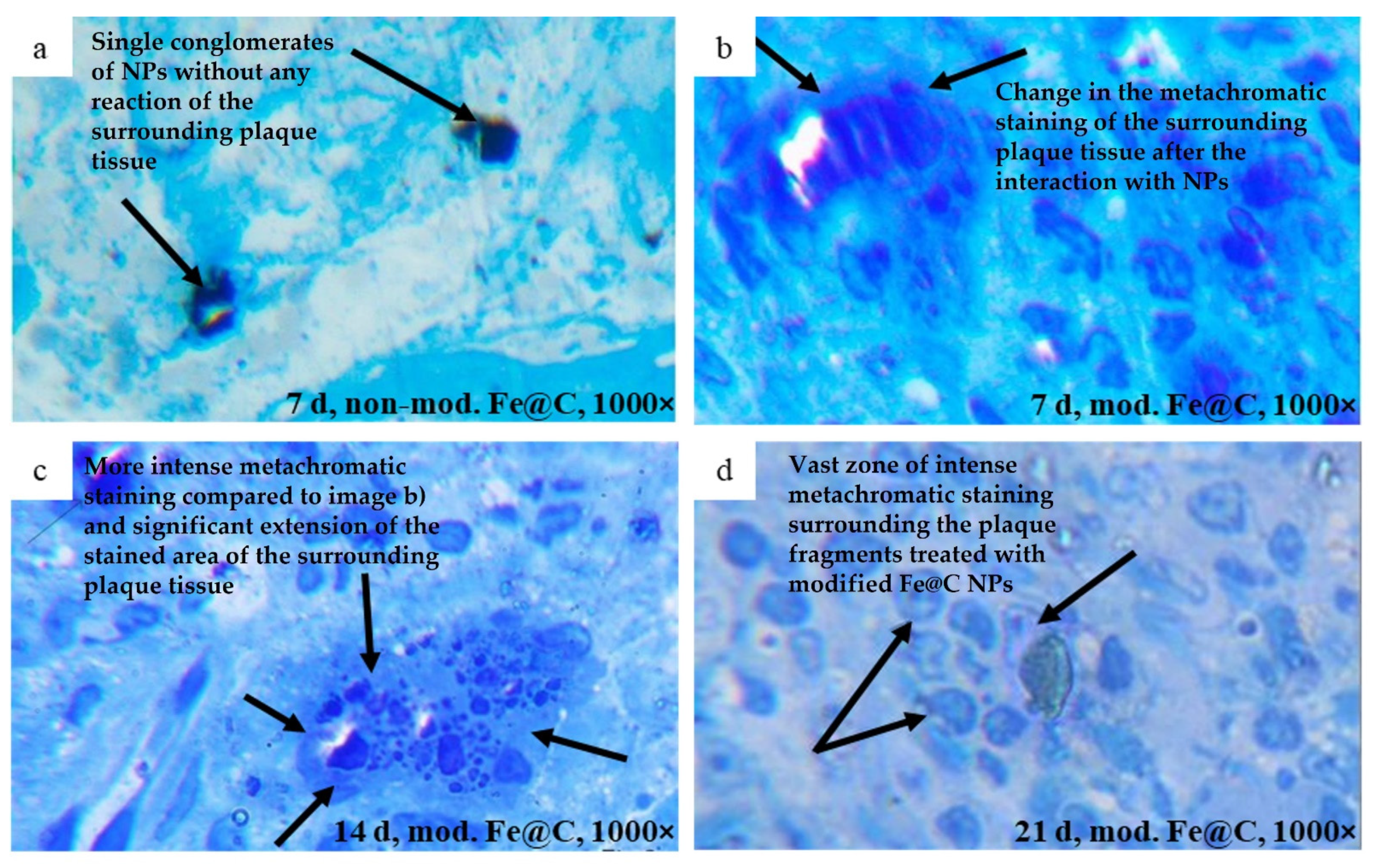 Biomedicines 09 00802 g005 550