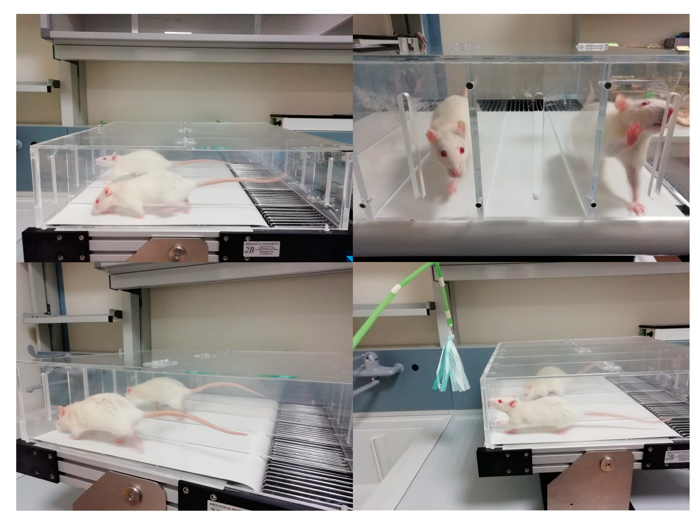 Biomedicines 09 00807 g002 Biomedicines 09 00807 g002