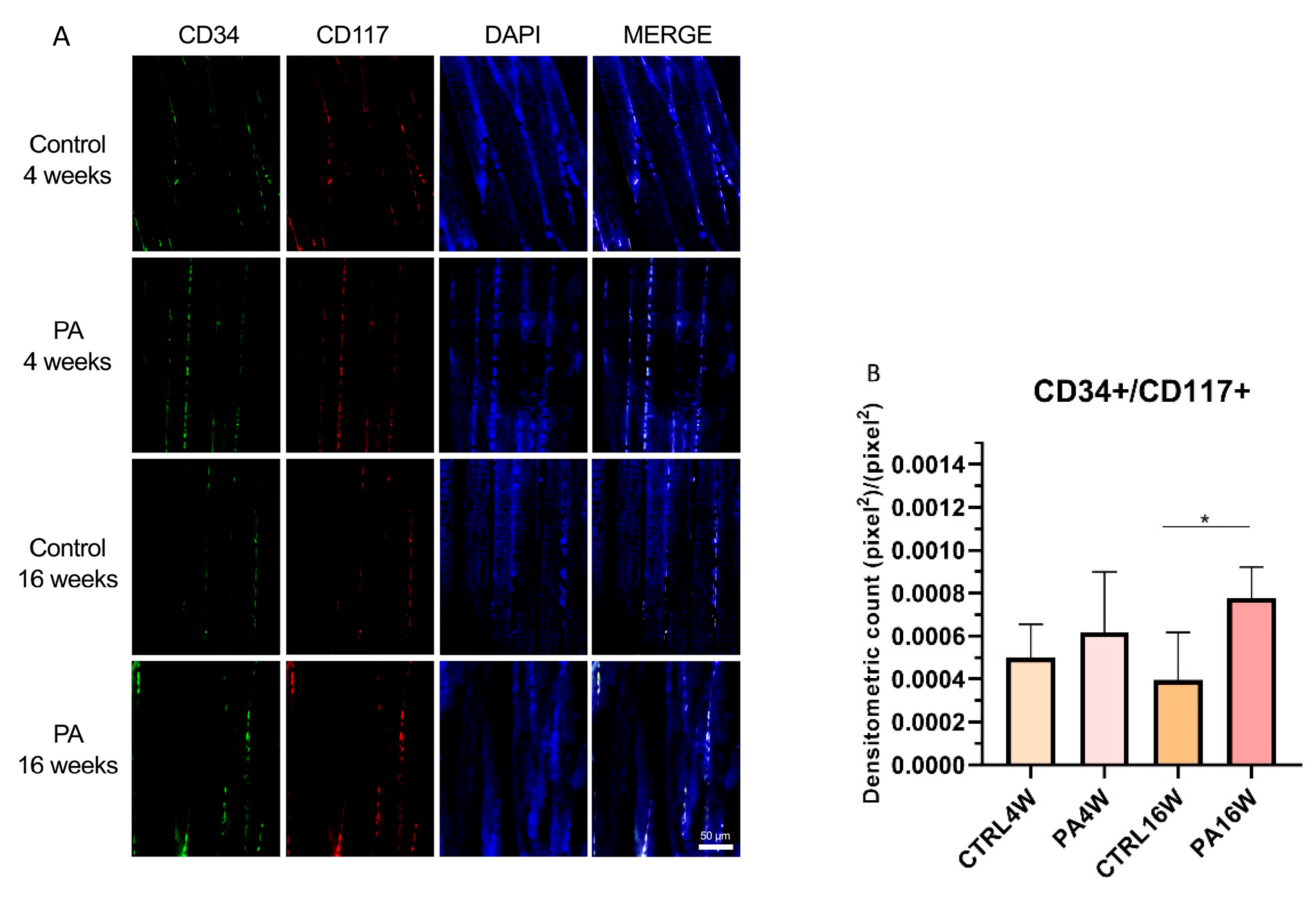 Biomedicines 09 00807 g005 Biomedicines 09 00807 g005