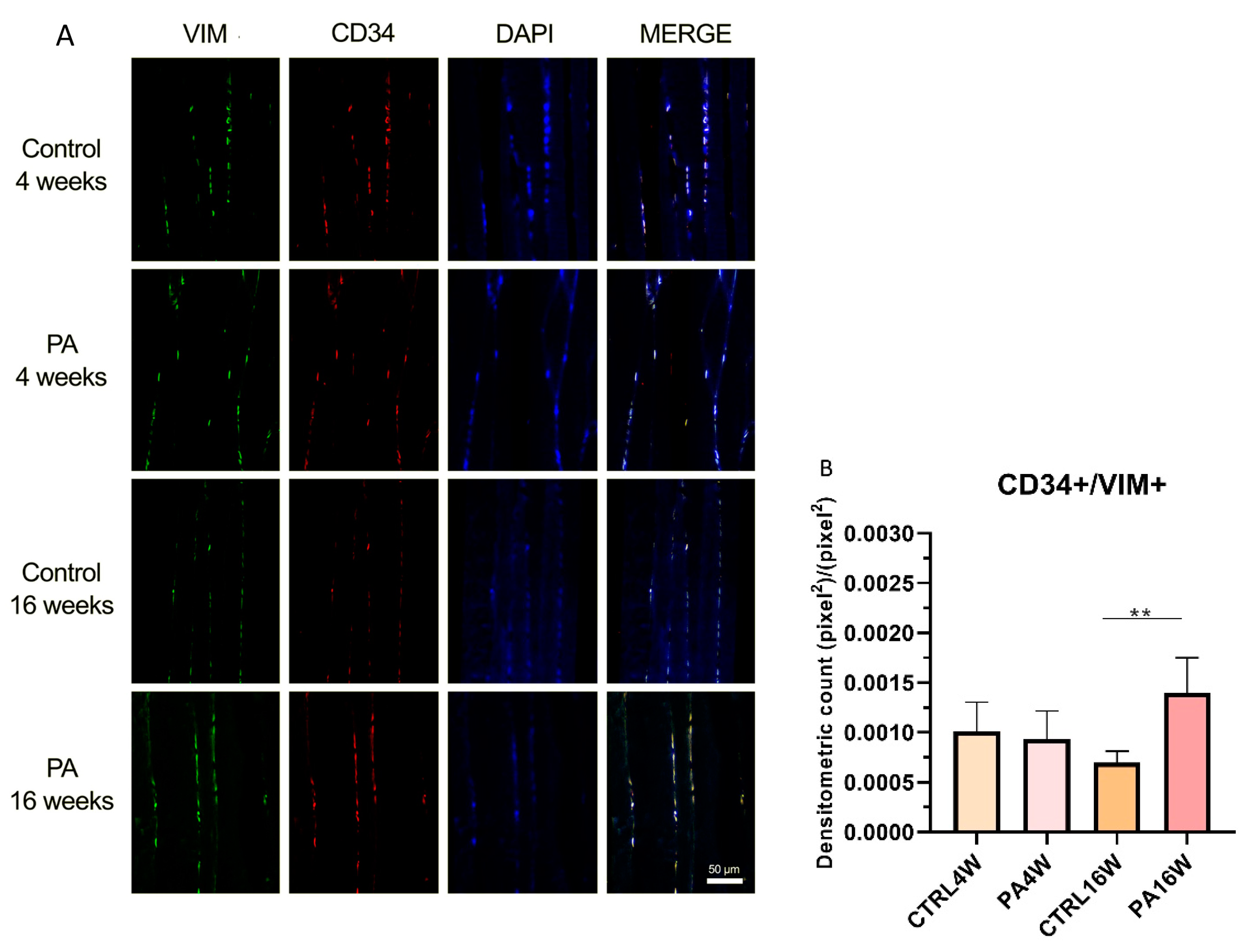 Biomedicines 09 00807 g006 Biomedicines 09 00807 g006