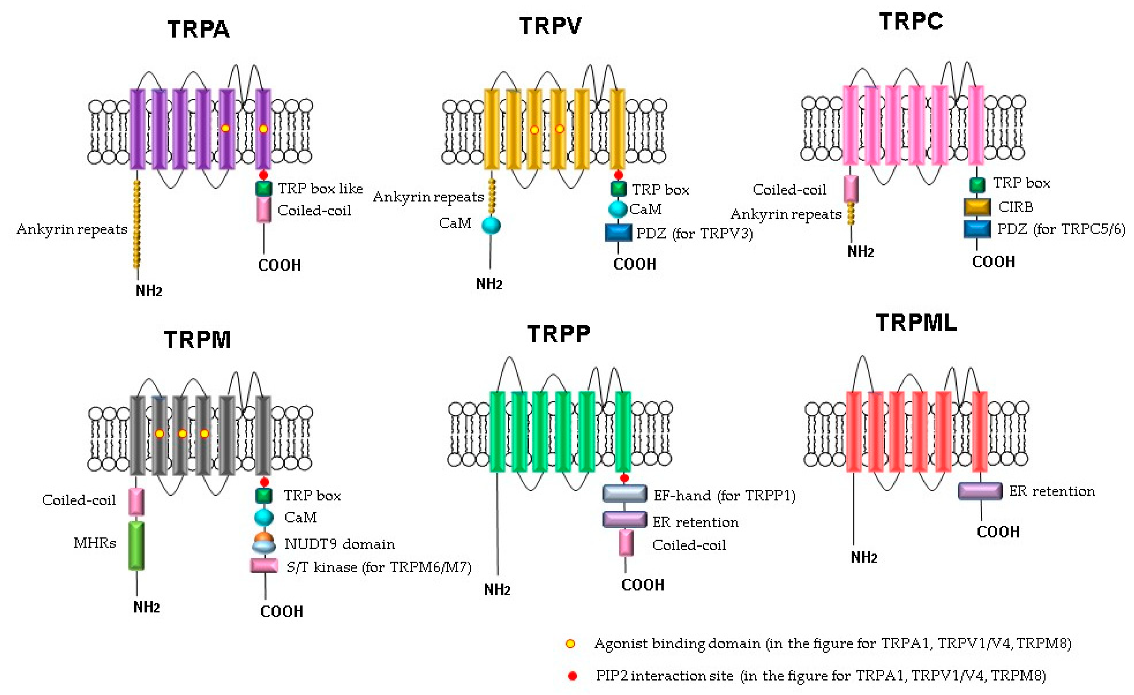 Biomedicines 09 00816 g001 Biomedicines 09 00816 g001