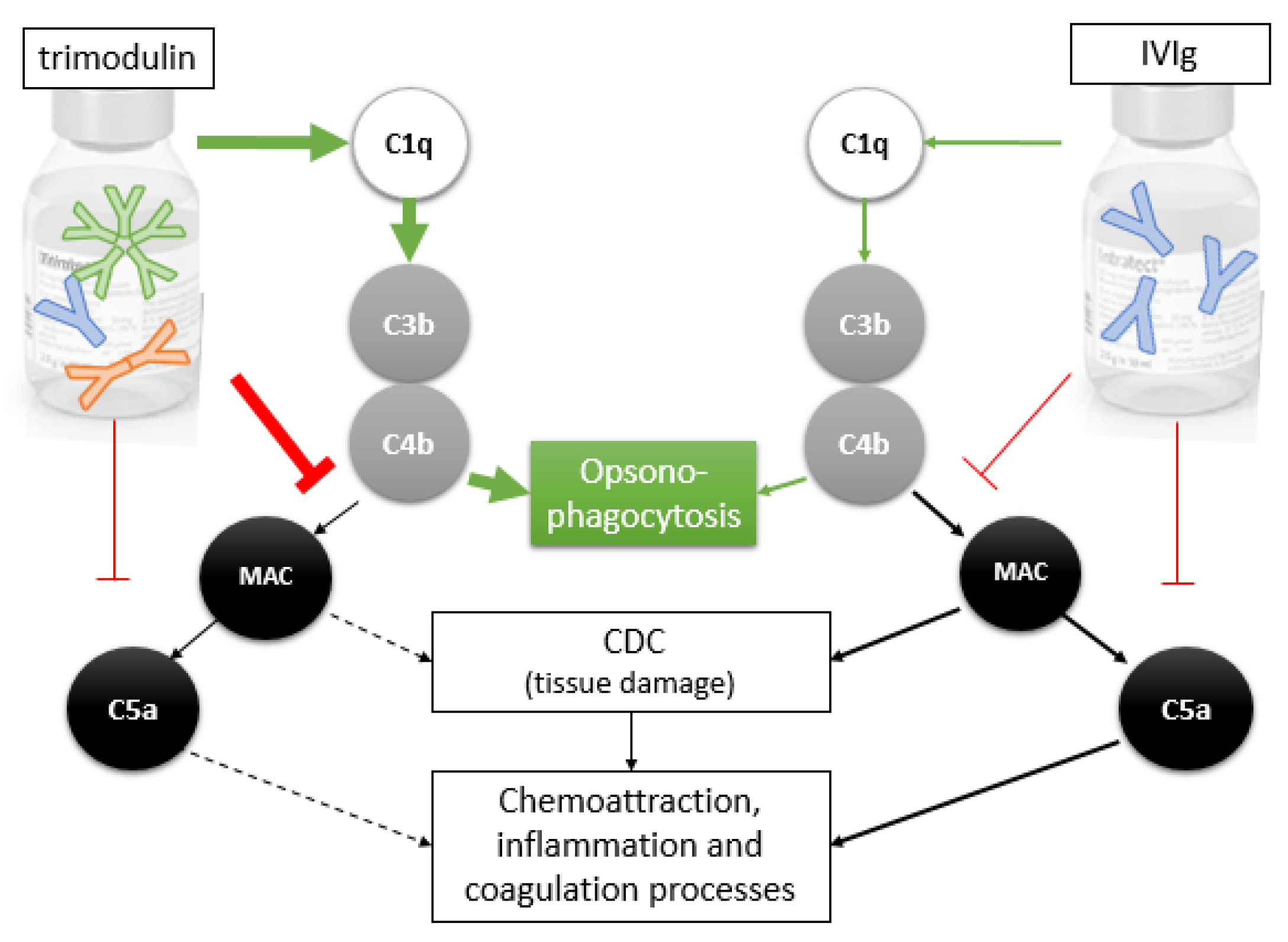Biomedicines 09 00817 g006 Biomedicines 09 00817 g006