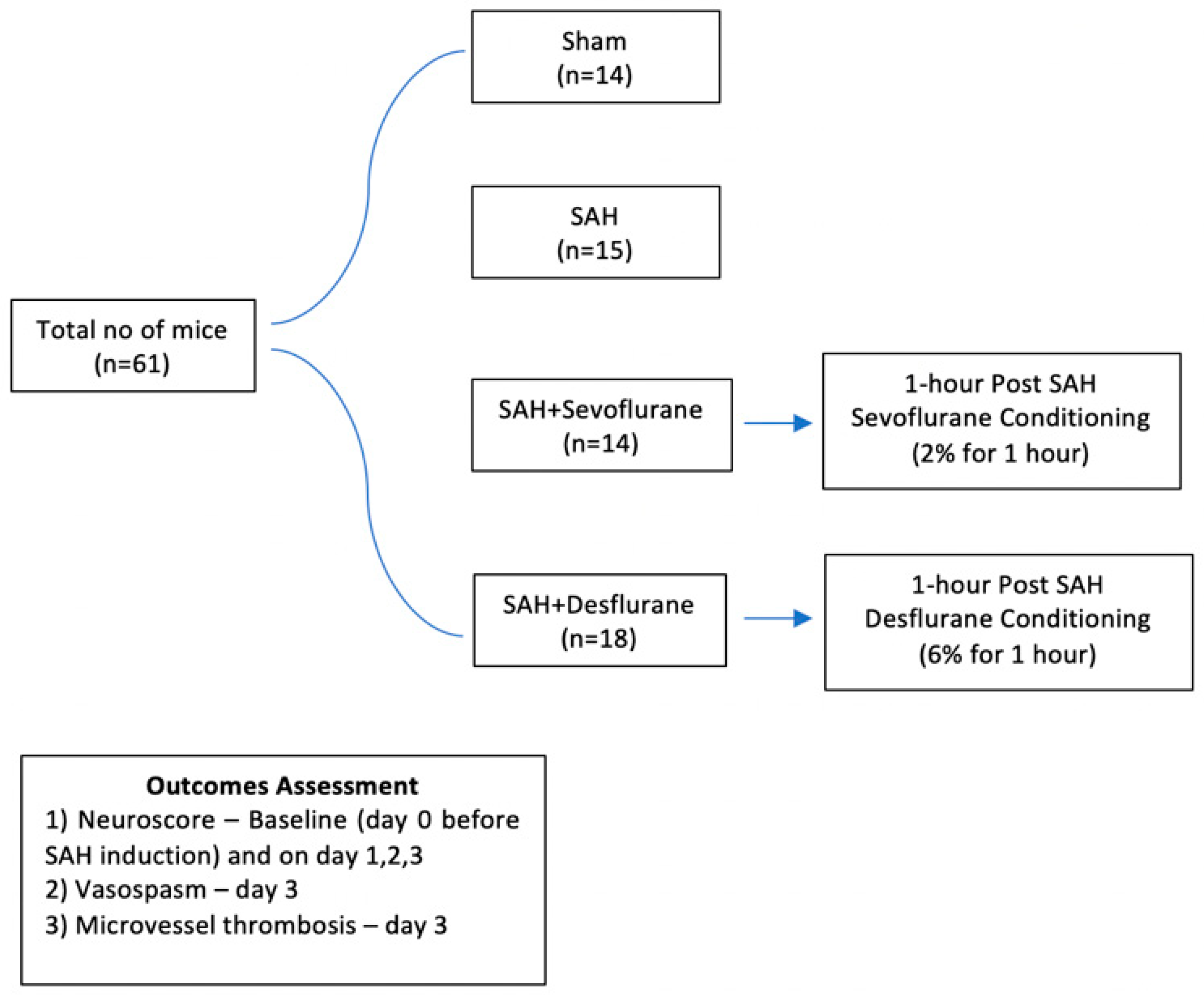 Biomedicines 09 00820 g001 550